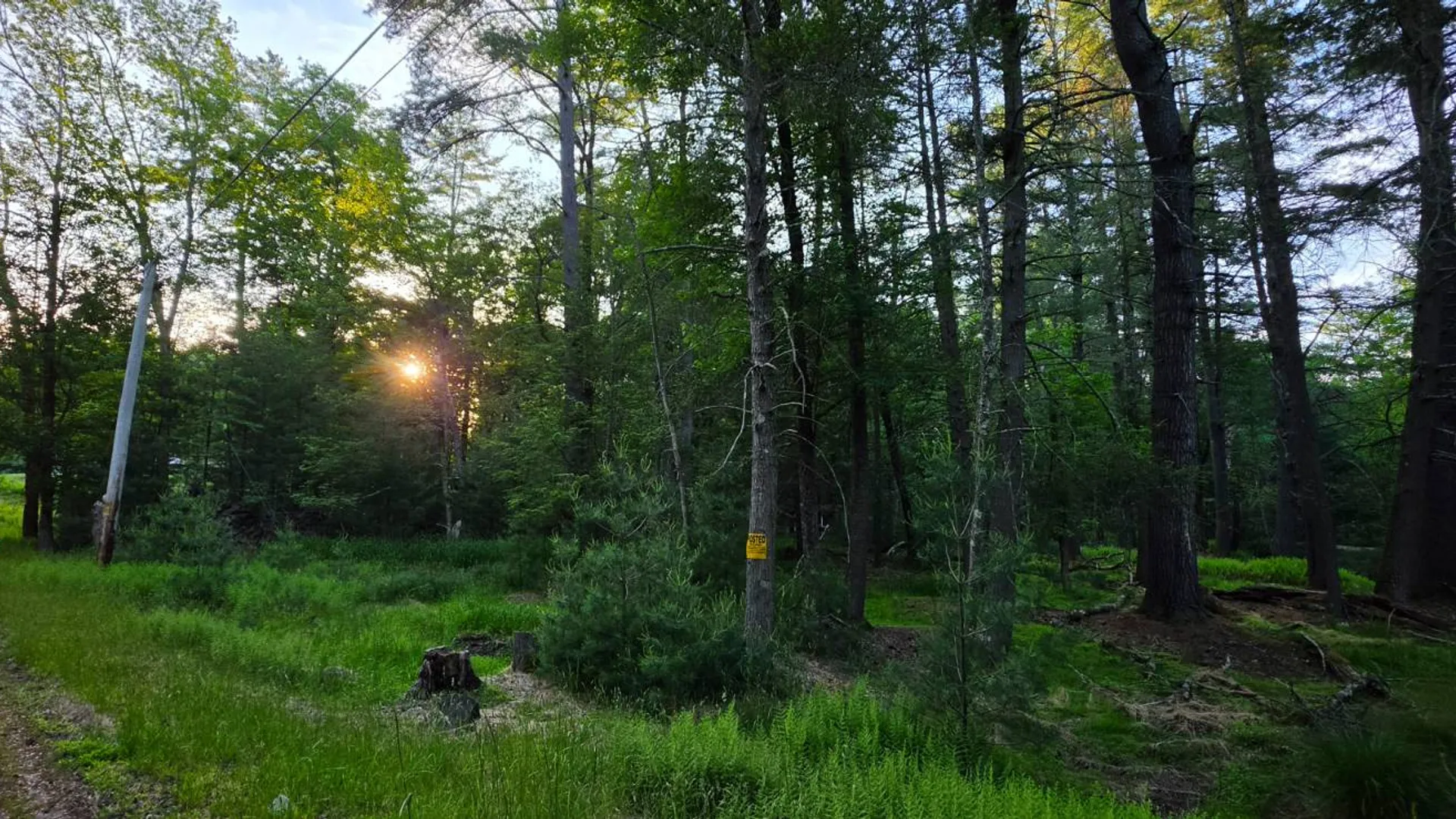 Property at Lot 303 Old Tacy Road, Bethel, NY 12720 7