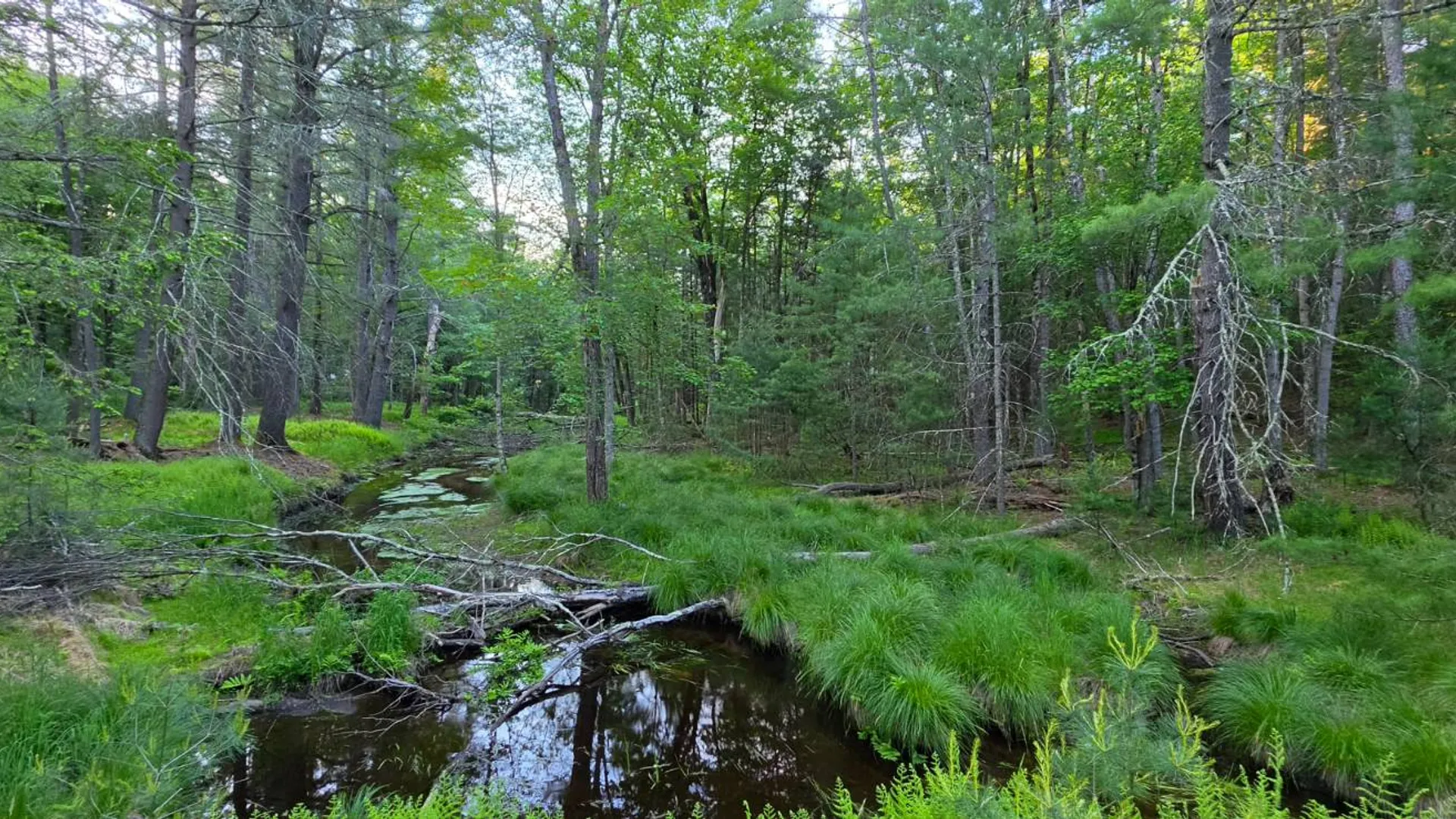 Property at Lot 303 Old Tacy Road, Bethel, NY 12720 8