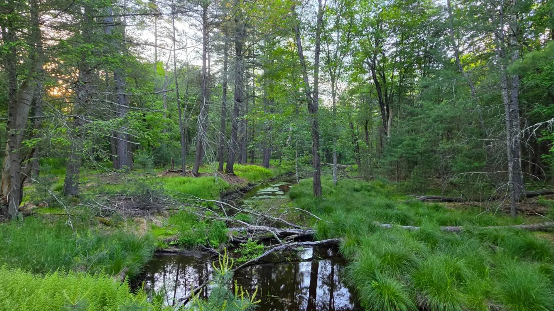 Property at Lot 303 Old Tacy Road, Bethel, NY 12720 9