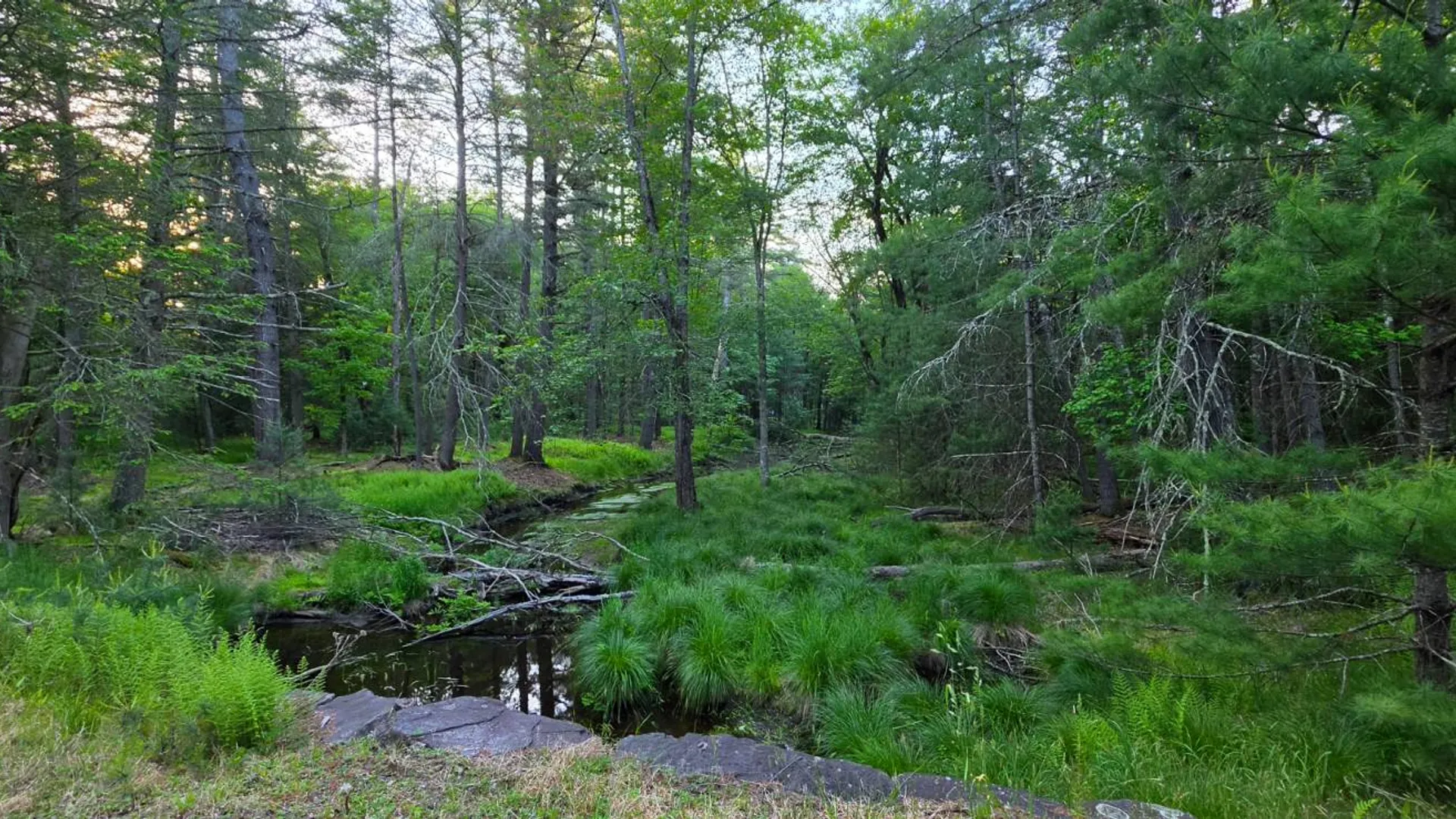 Property at Lot 303 Old Tacy Road, Bethel, NY 12720 11