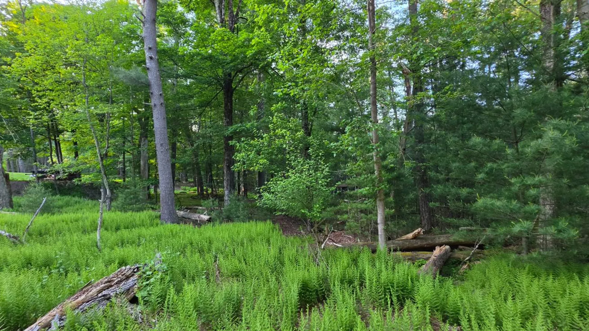 Property at Lot 303 Old Tacy Road, Bethel, NY 12720 14