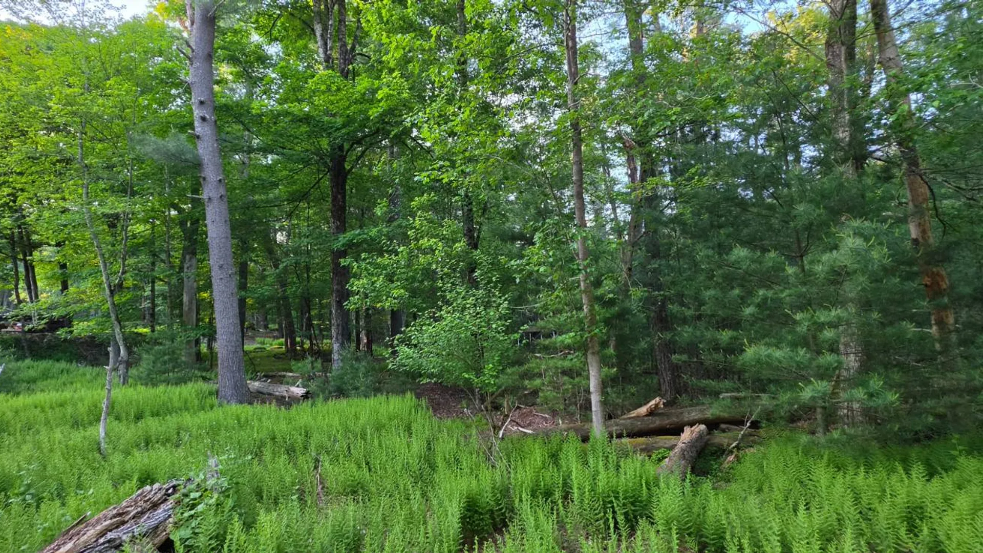 Property at Lot 303 Old Tacy Road, Bethel, NY 12720 15