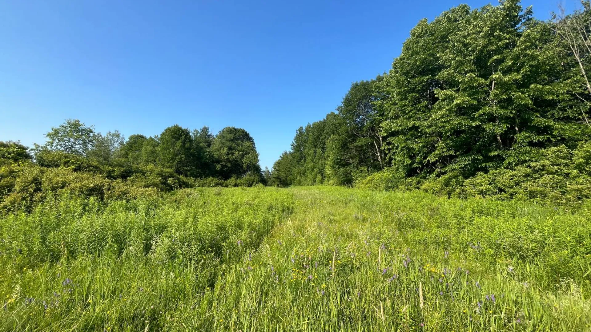 Property at 00 Austin Road #1, Antwerp, NY 13608 5