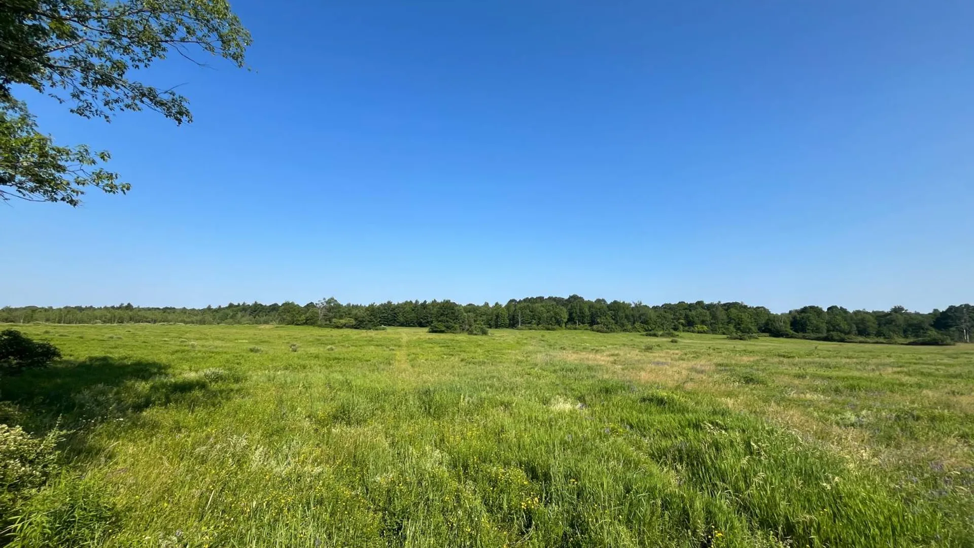 Property at 00 Austin Road #1, Antwerp, NY 13608 8
