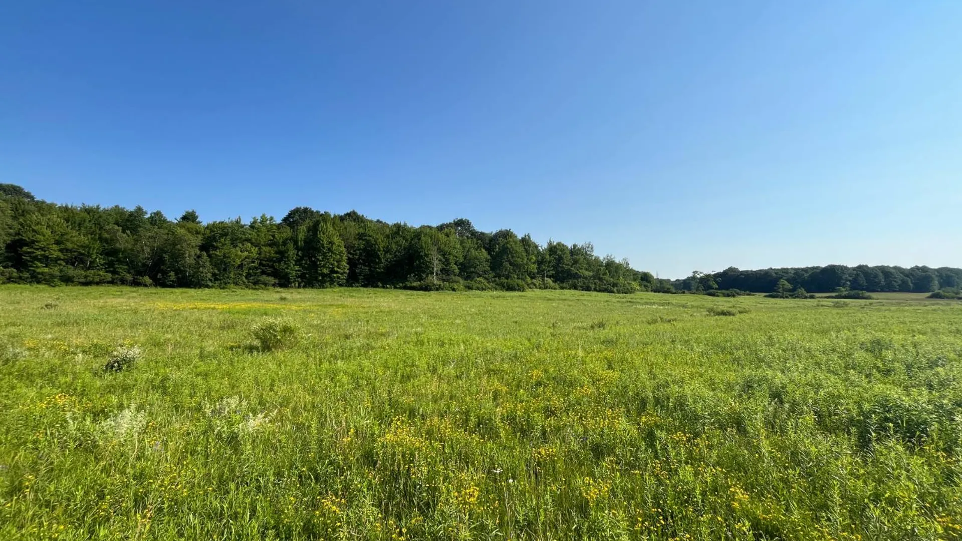 Property at 00 Austin Road #1, Antwerp, NY 13608 9