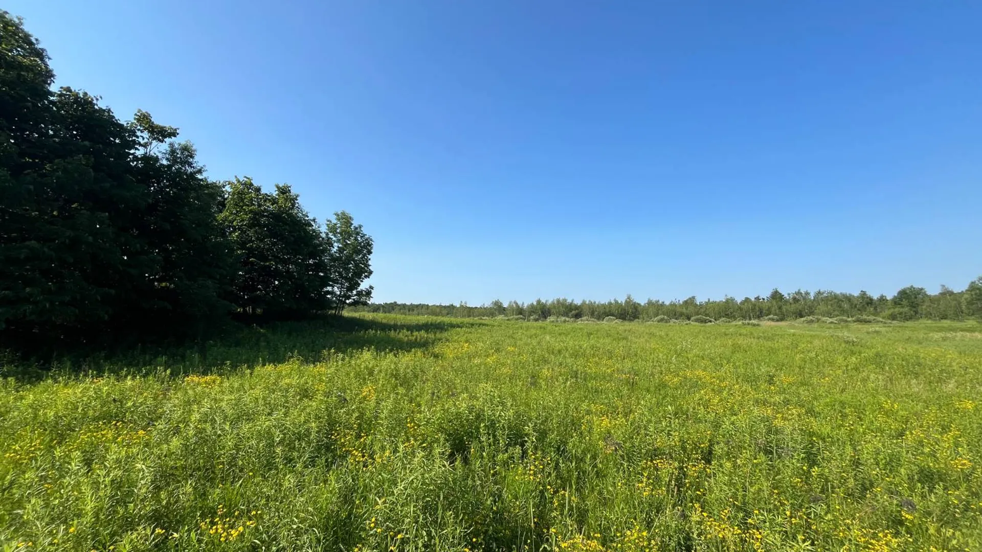 Property at 00 Austin Road #1, Antwerp, NY 13608 10