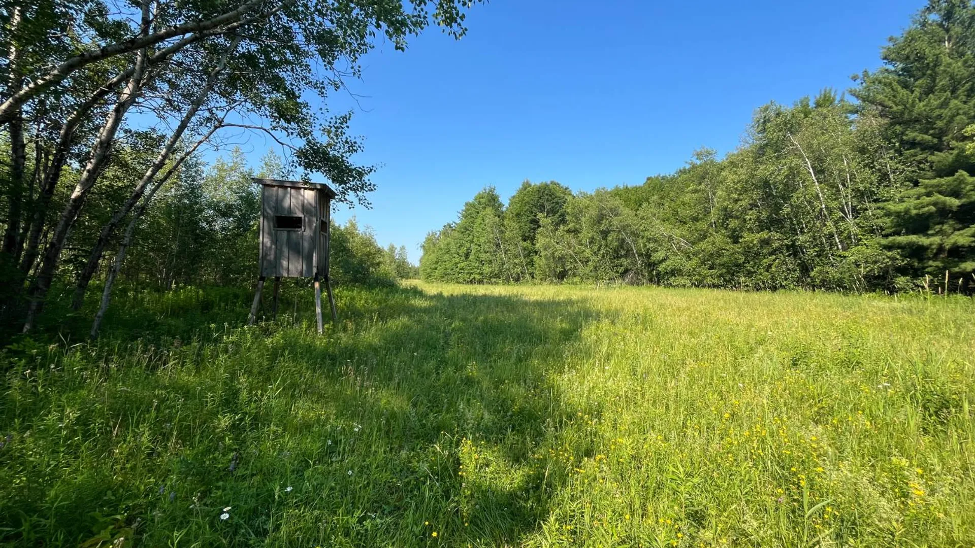 Property at 00 Austin Road #1, Antwerp, NY 13608 11