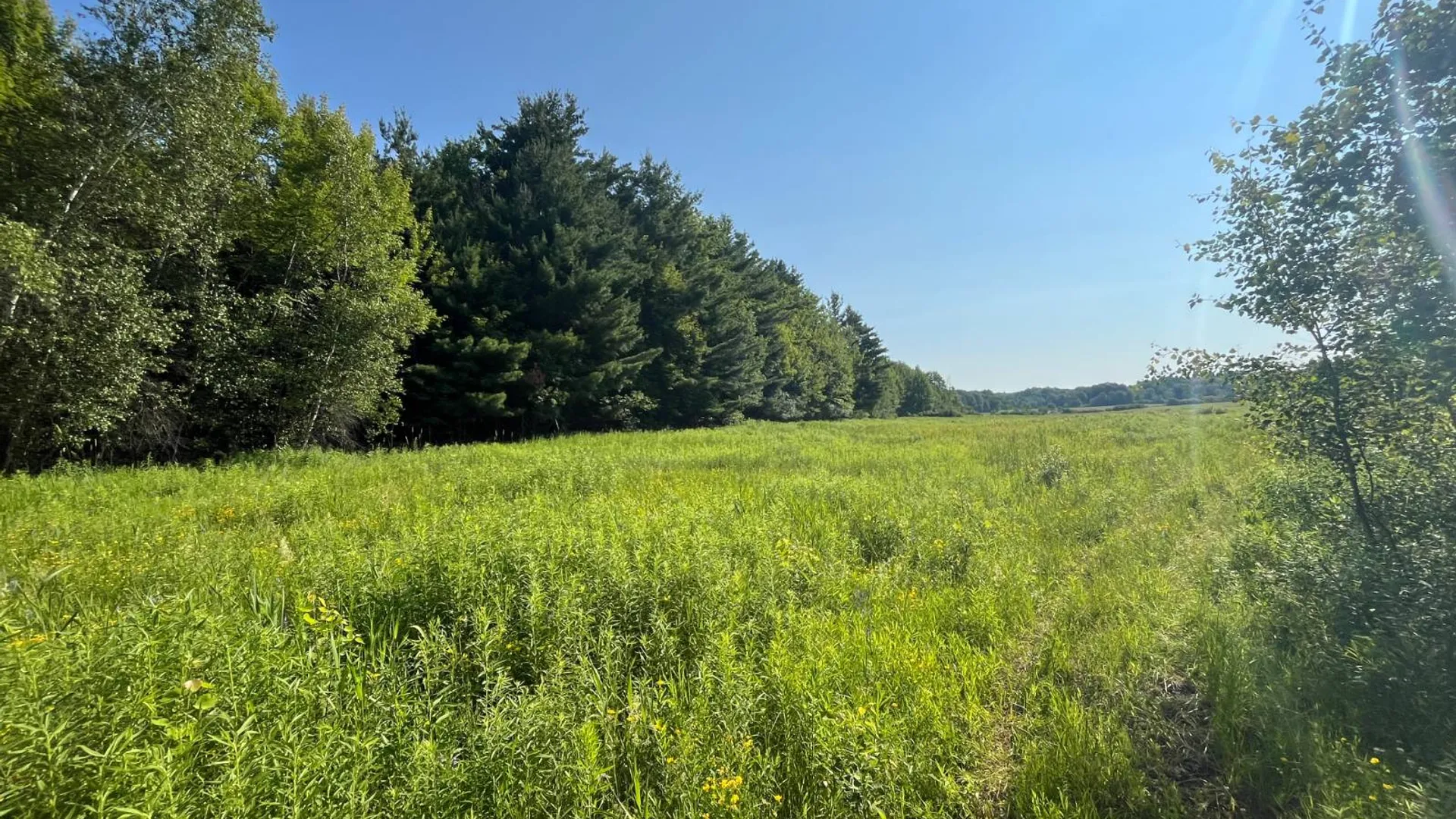 Property at 00 Austin Road #1, Antwerp, NY 13608 12