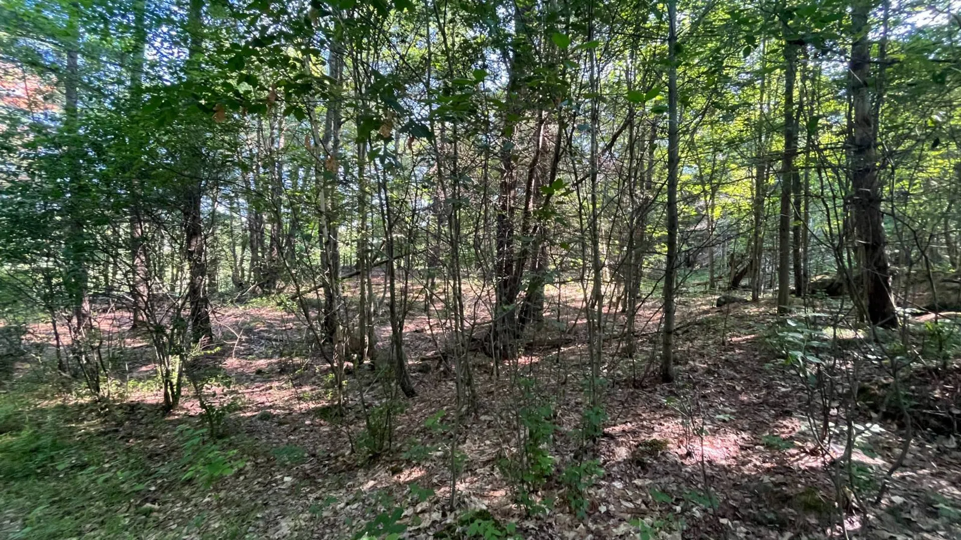 Property at 00 Austin Road #1, Antwerp, NY 13608 14