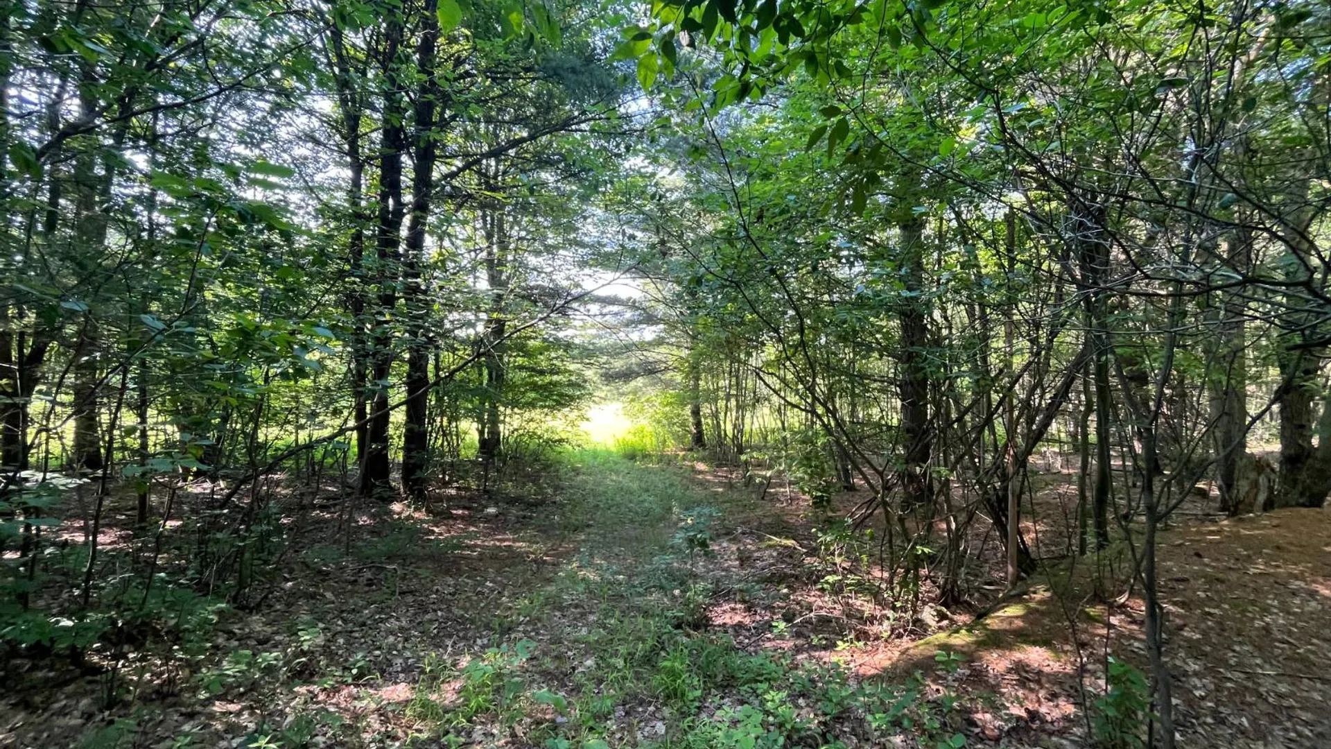 Property at 00 Austin Road #1, Antwerp, NY 13608 15