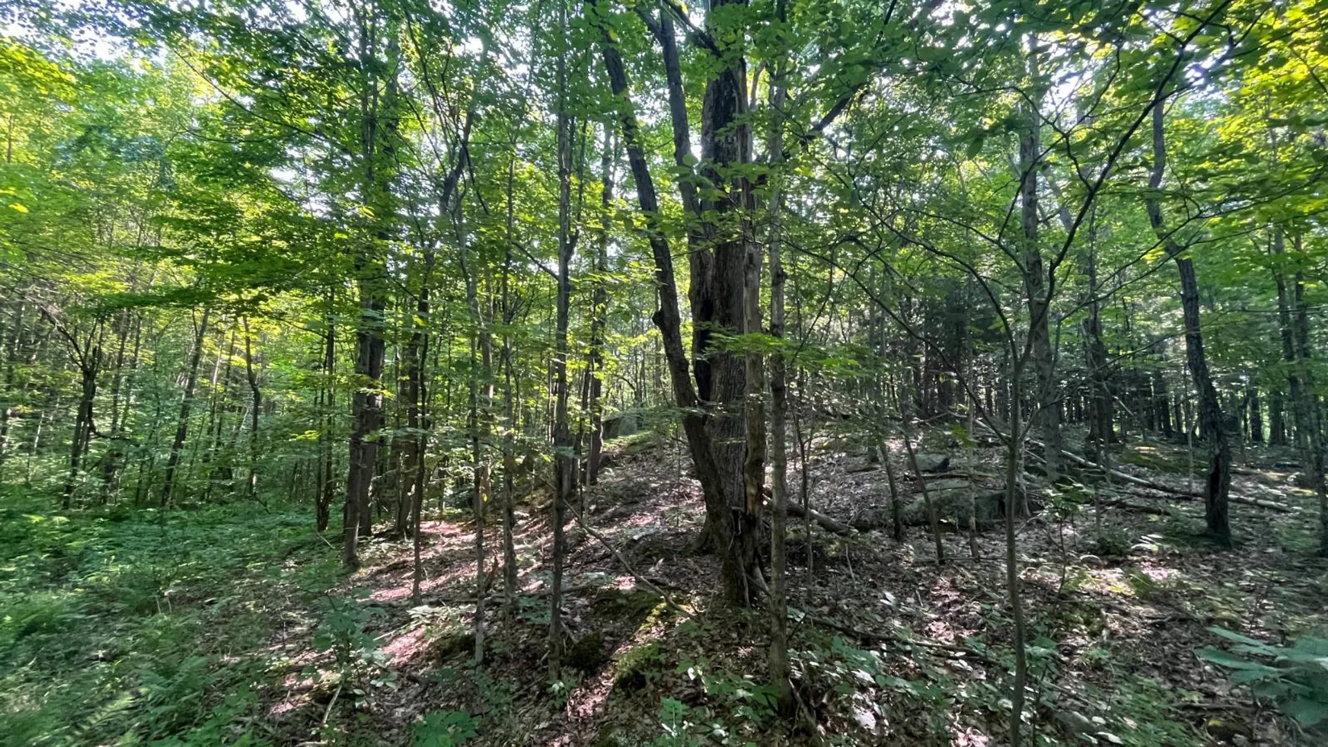 Property at 00 Austin Road #1, Antwerp, NY 13608 16