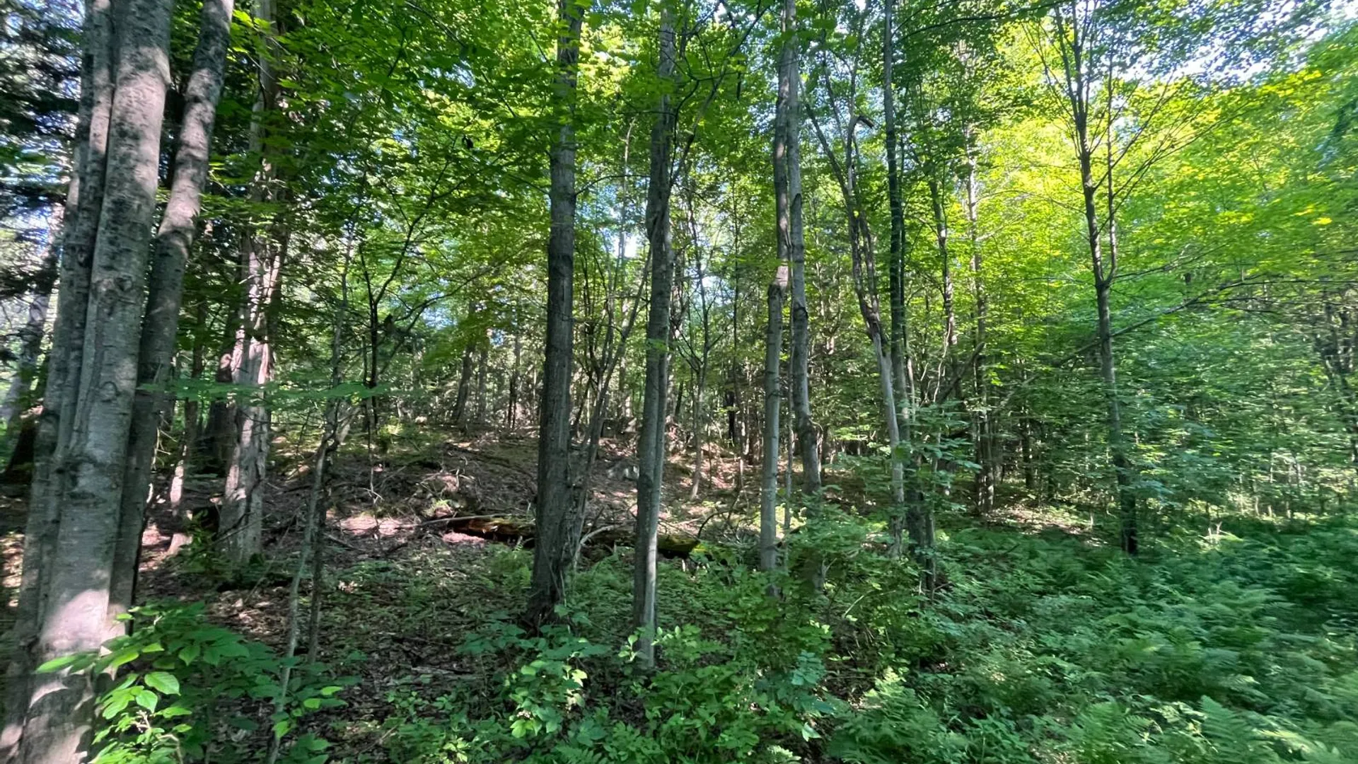 Property at 00 Austin Road #1, Antwerp, NY 13608 17