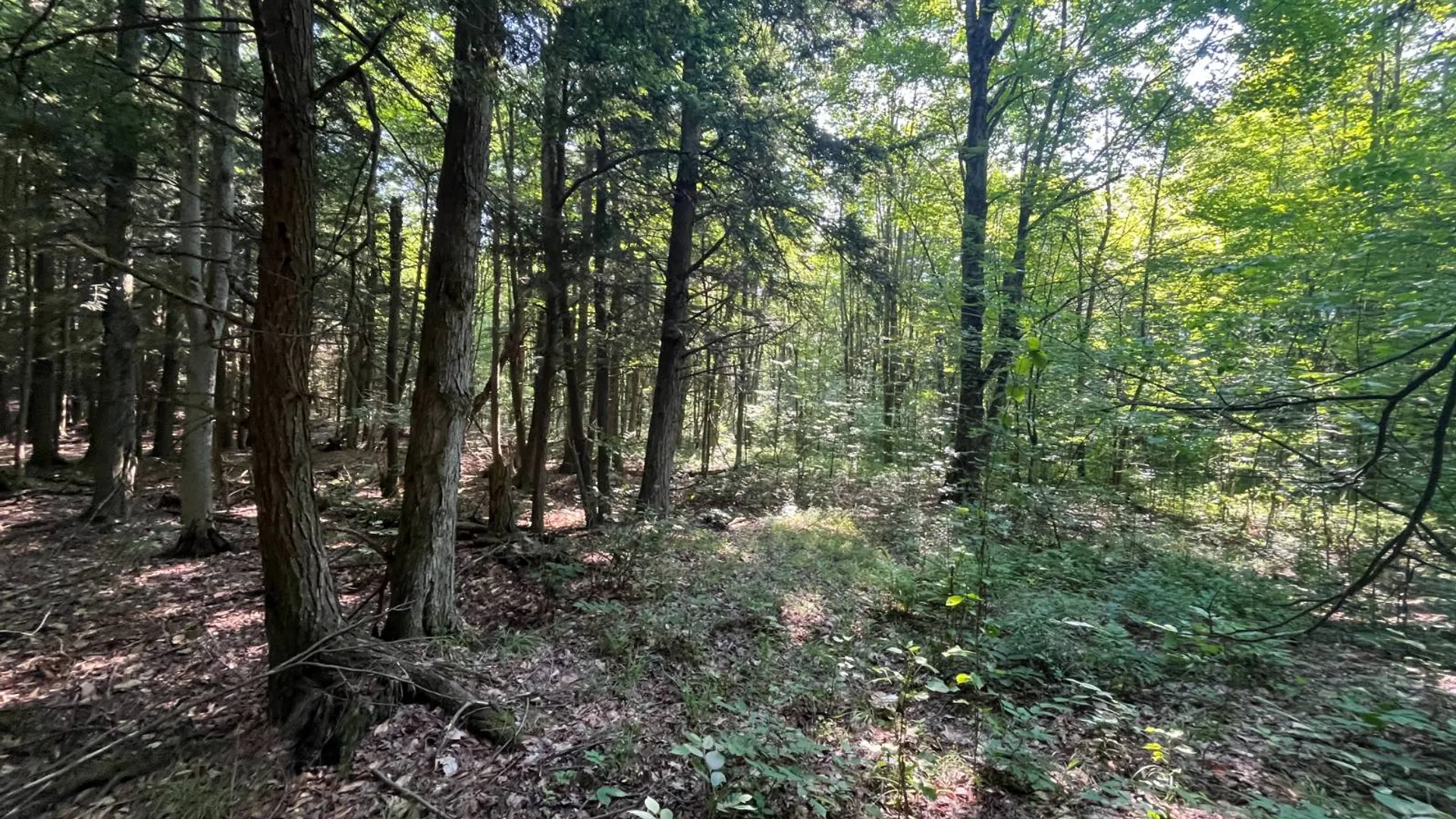 Property at 00 Austin Road #1, Antwerp, NY 13608 19