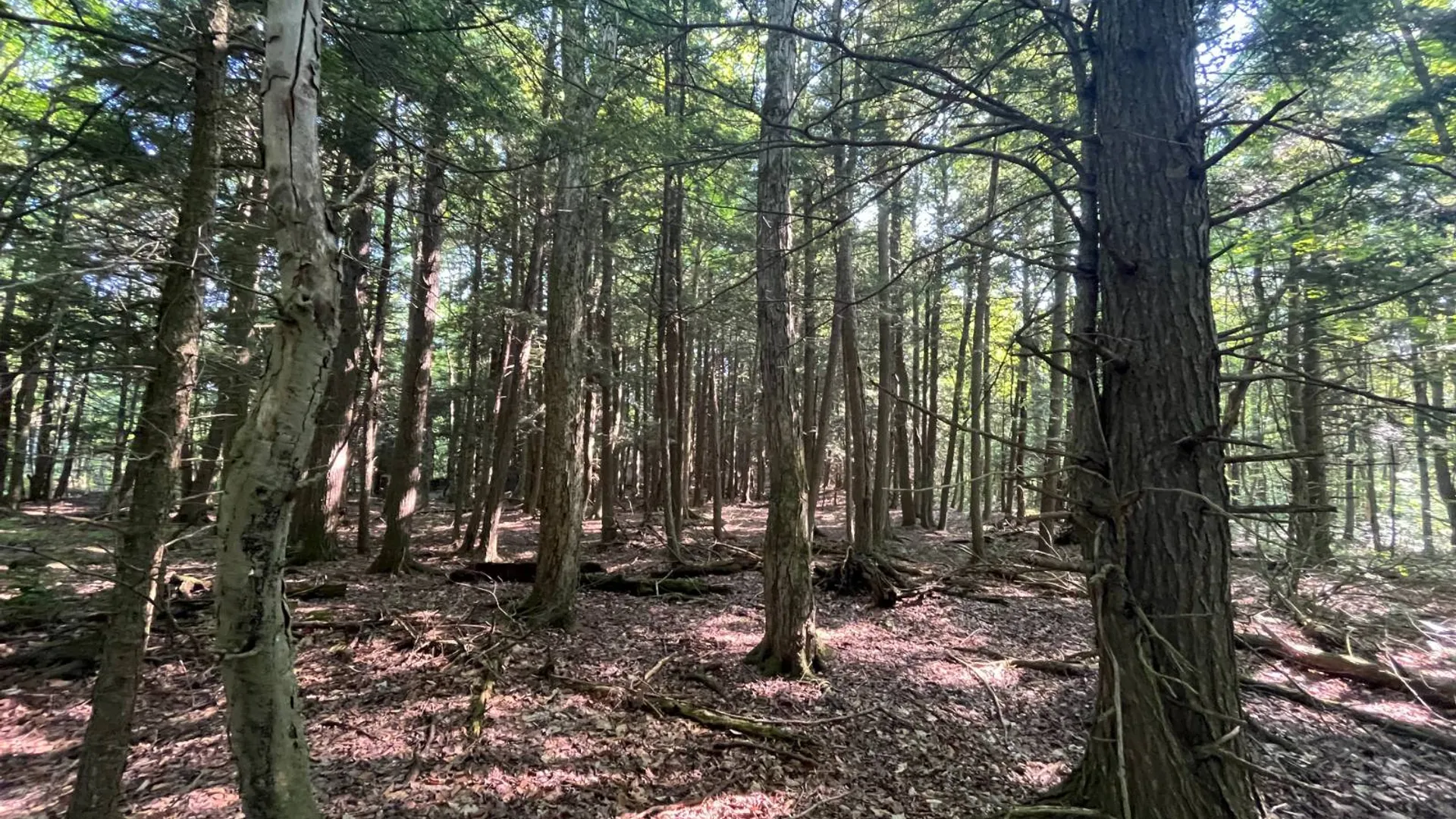 Property at 00 Austin Road #1, Antwerp, NY 13608 20