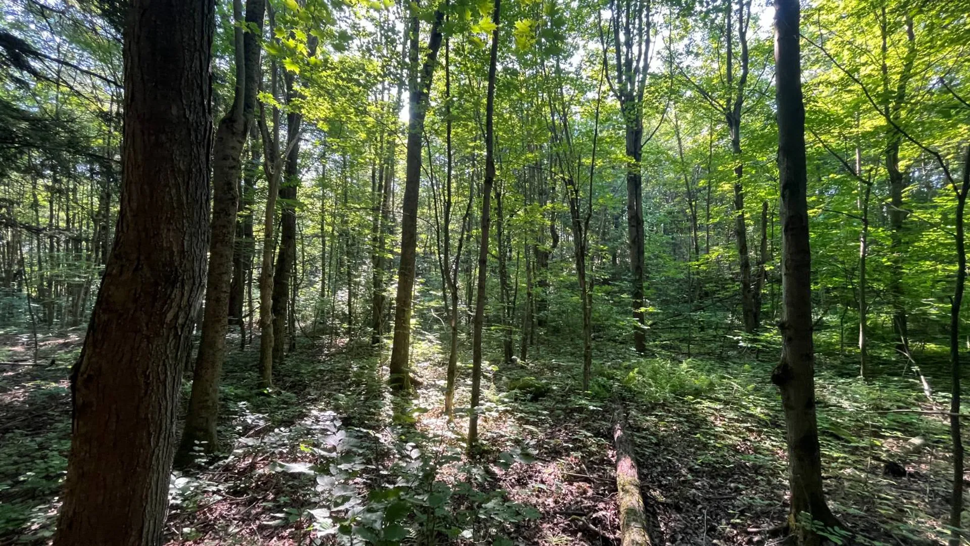 Property at 00 Austin Road #1, Antwerp, NY 13608 21