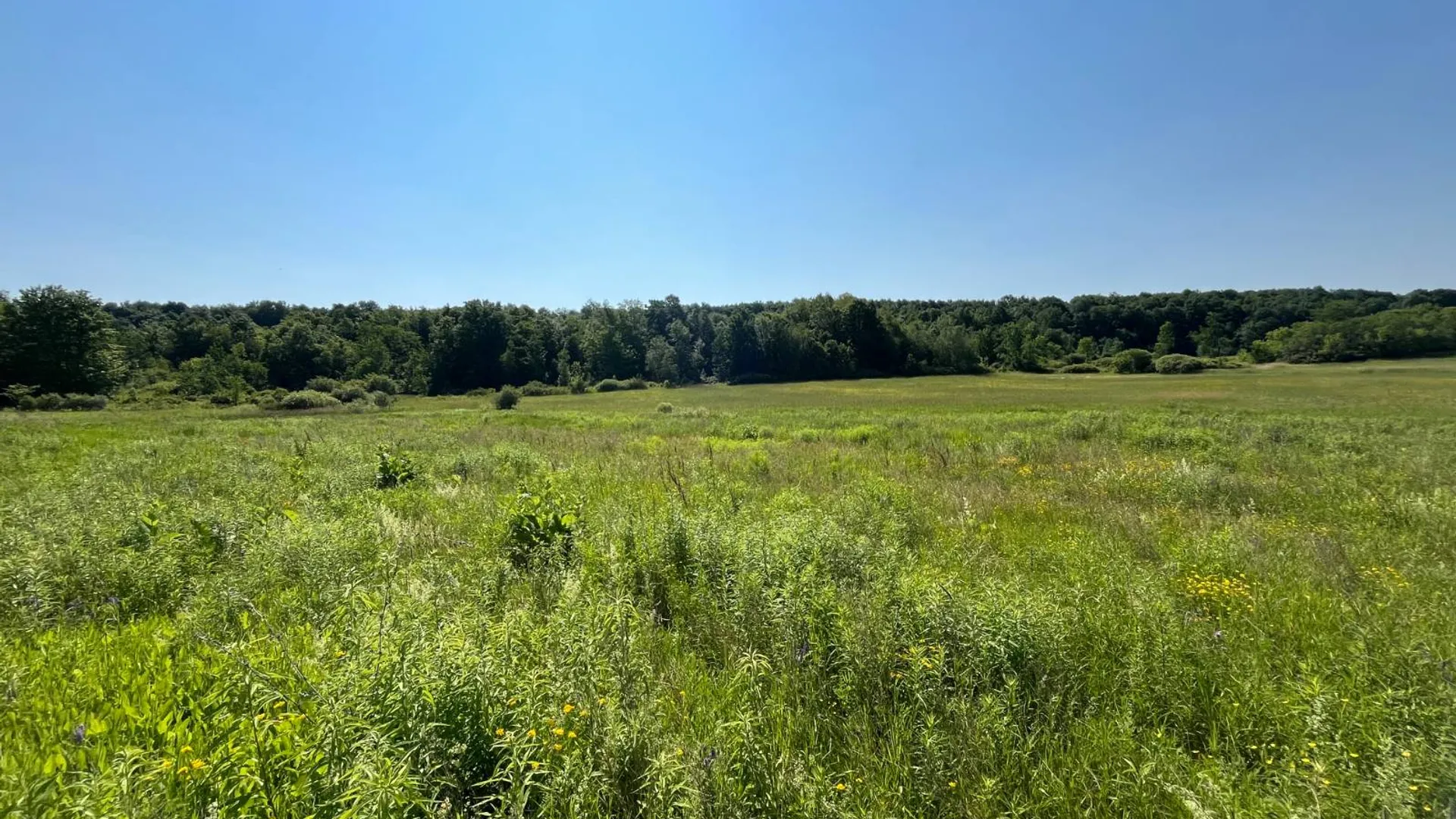 Property at 00 Austin Road #9, Antwerp, NY 13608 3