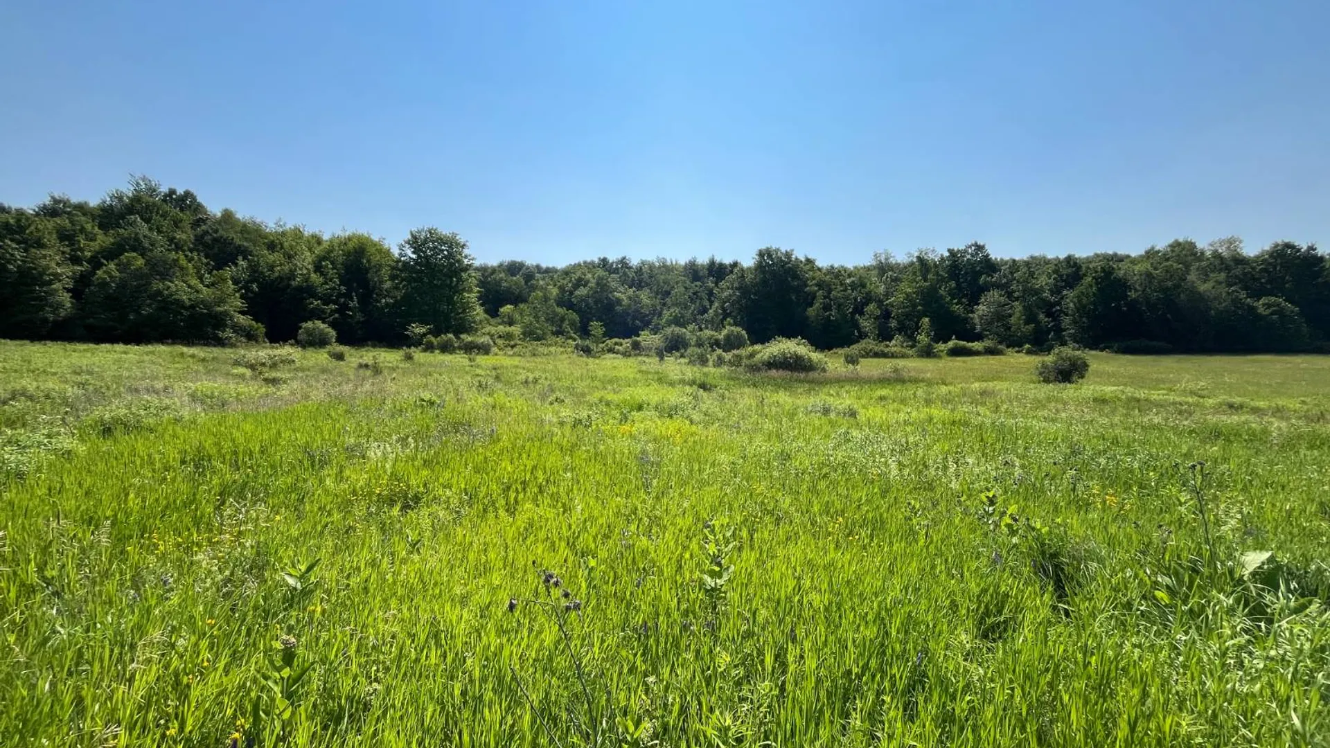 Property at 00 Austin Road #9, Antwerp, NY 13608 5