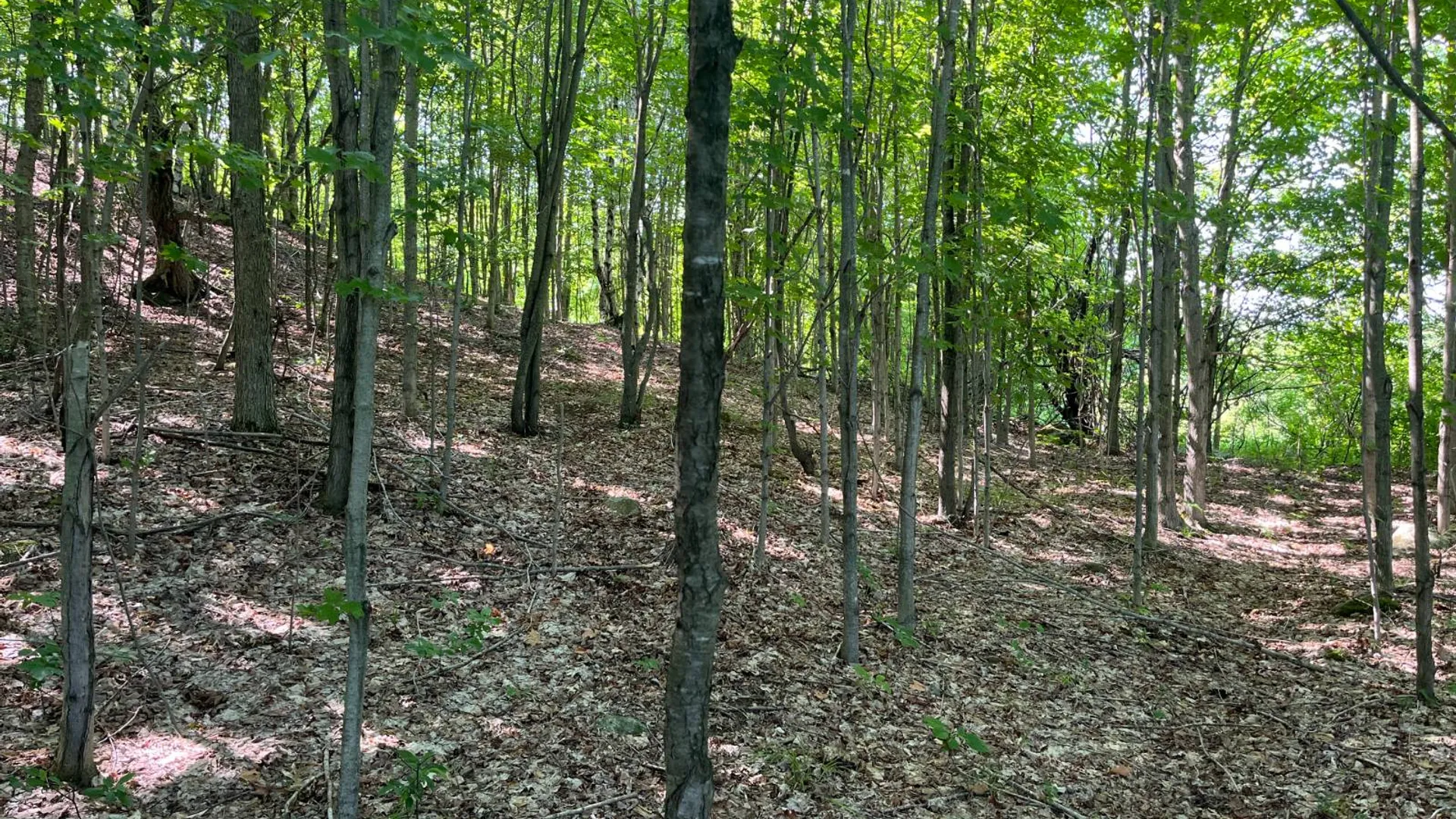 Property at 00 Austin Road #9, Antwerp, NY 13608 8