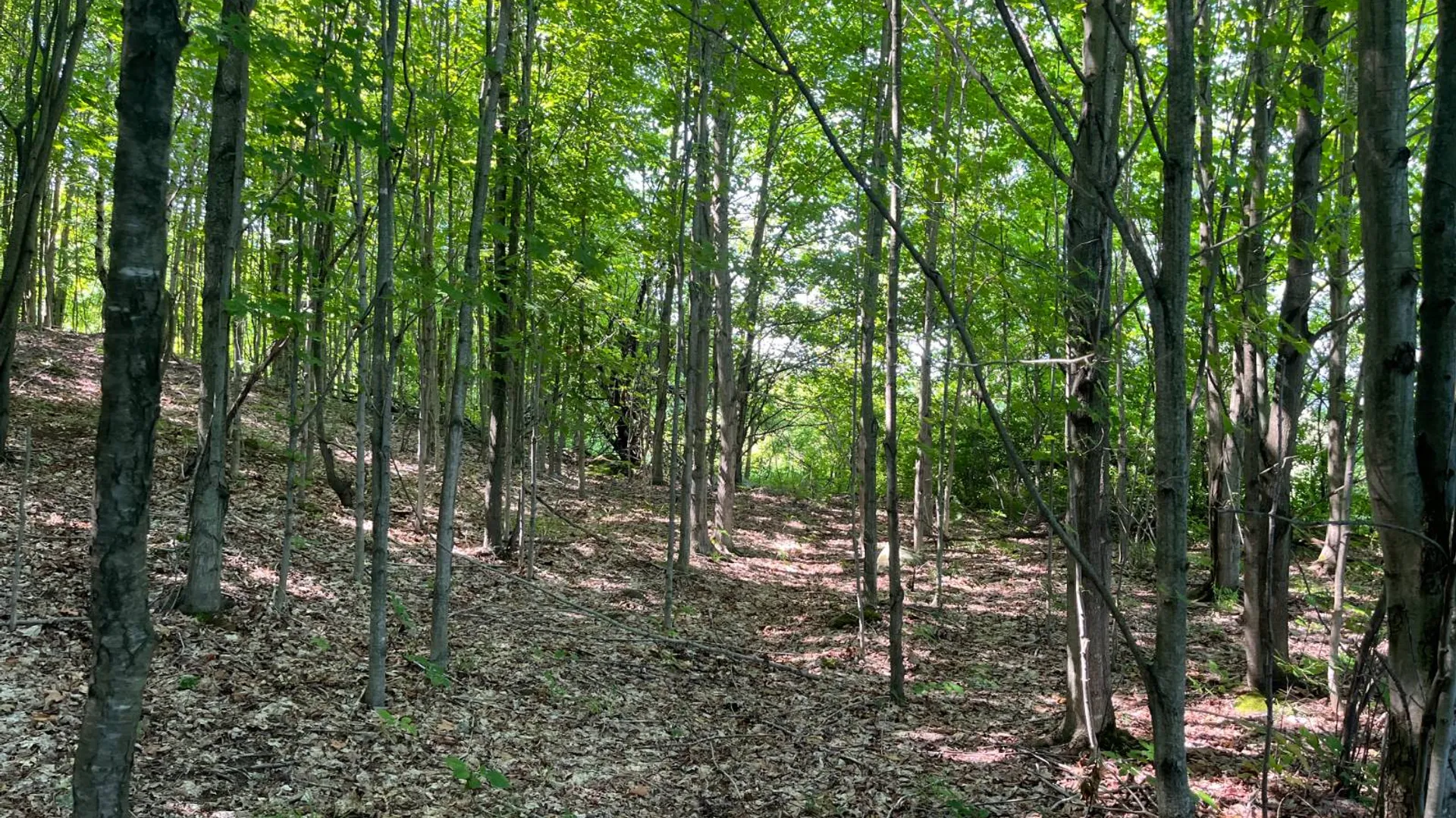 Property at 00 Austin Road #9, Antwerp, NY 13608 9