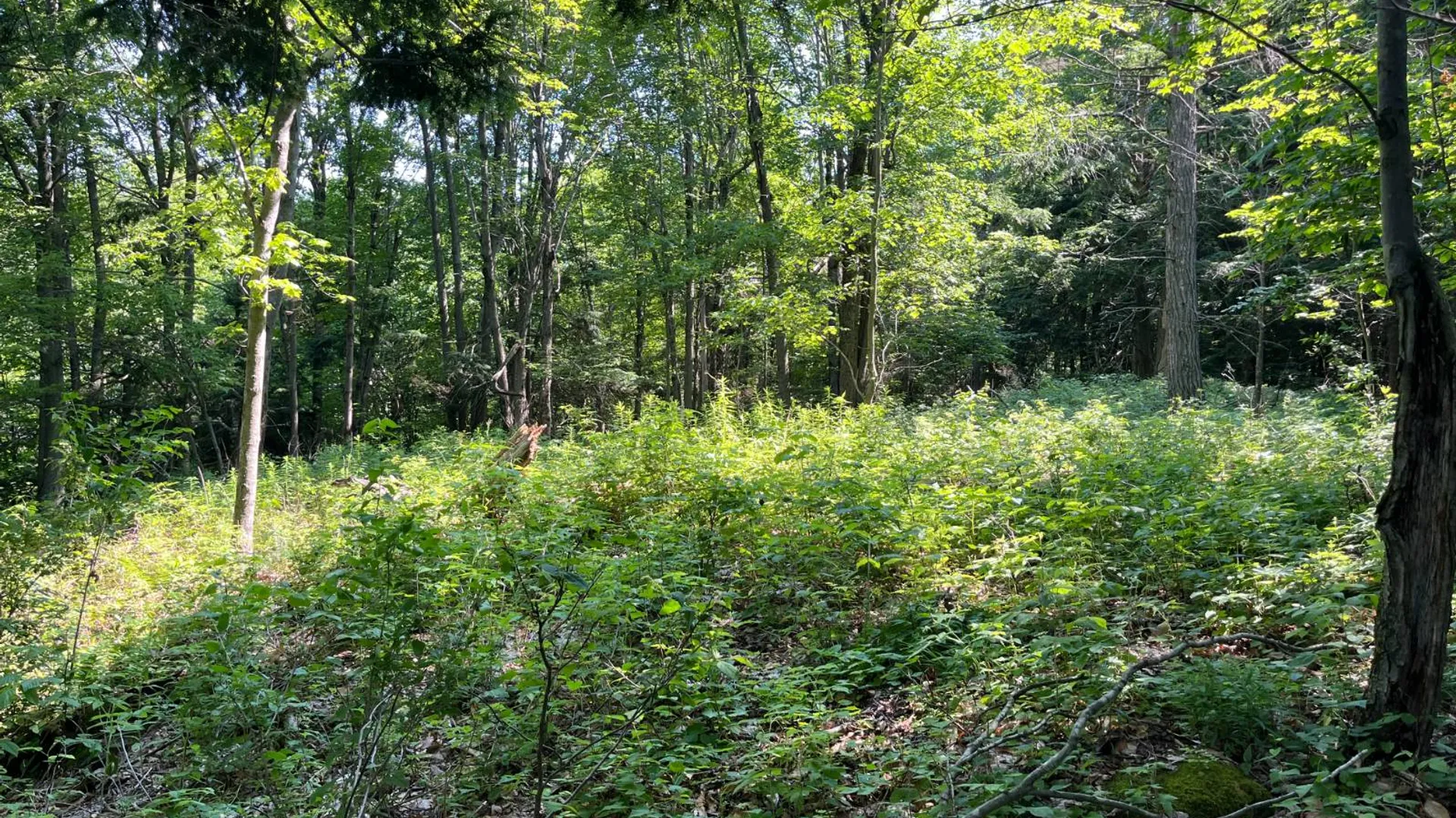 Property at 00 Austin Road #9, Antwerp, NY 13608 14
