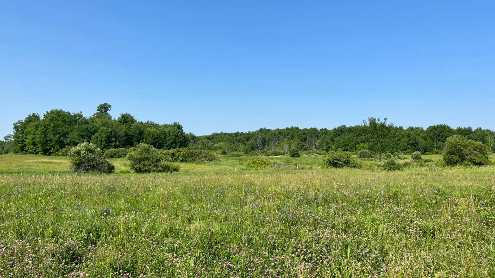 Property at 00 Austin Road #11, Antwerp, NY 13608 6