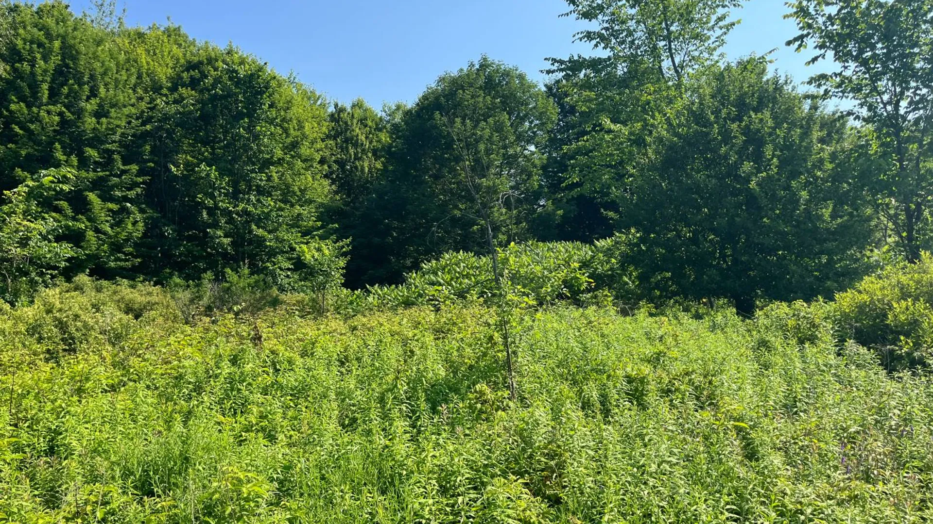 Property at 00 Austin Road #7, Antwerp, NY 13608 4