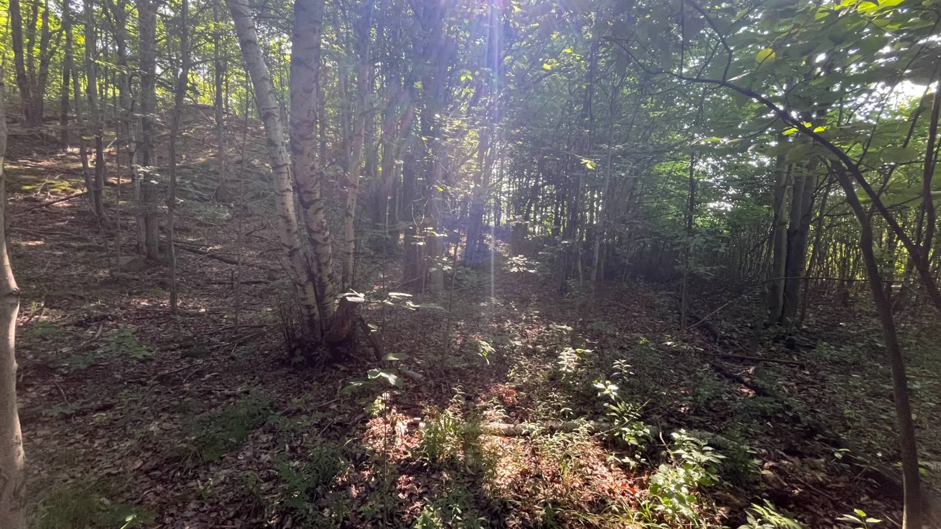 Property at 00 Austin Road #7, Antwerp, NY 13608 5
