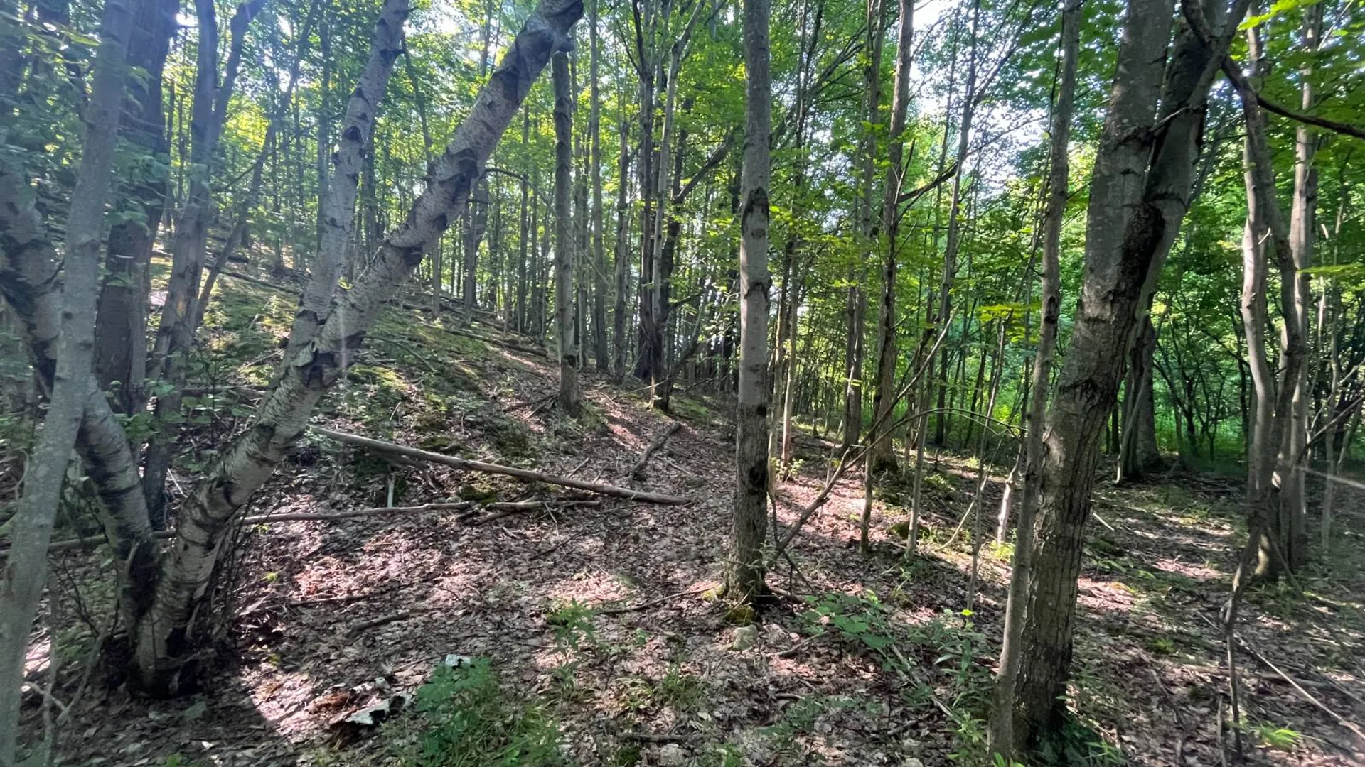 Property at 00 Austin Road #7, Antwerp, NY 13608 7