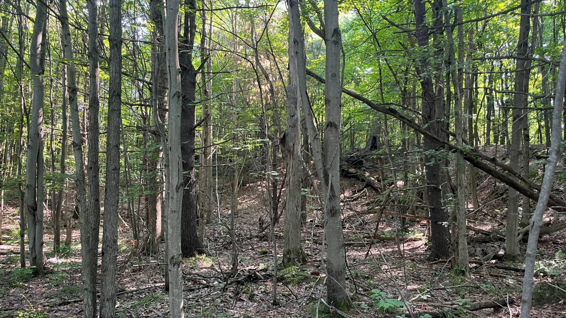 Property at 00 Austin Road #7, Antwerp, NY 13608 8