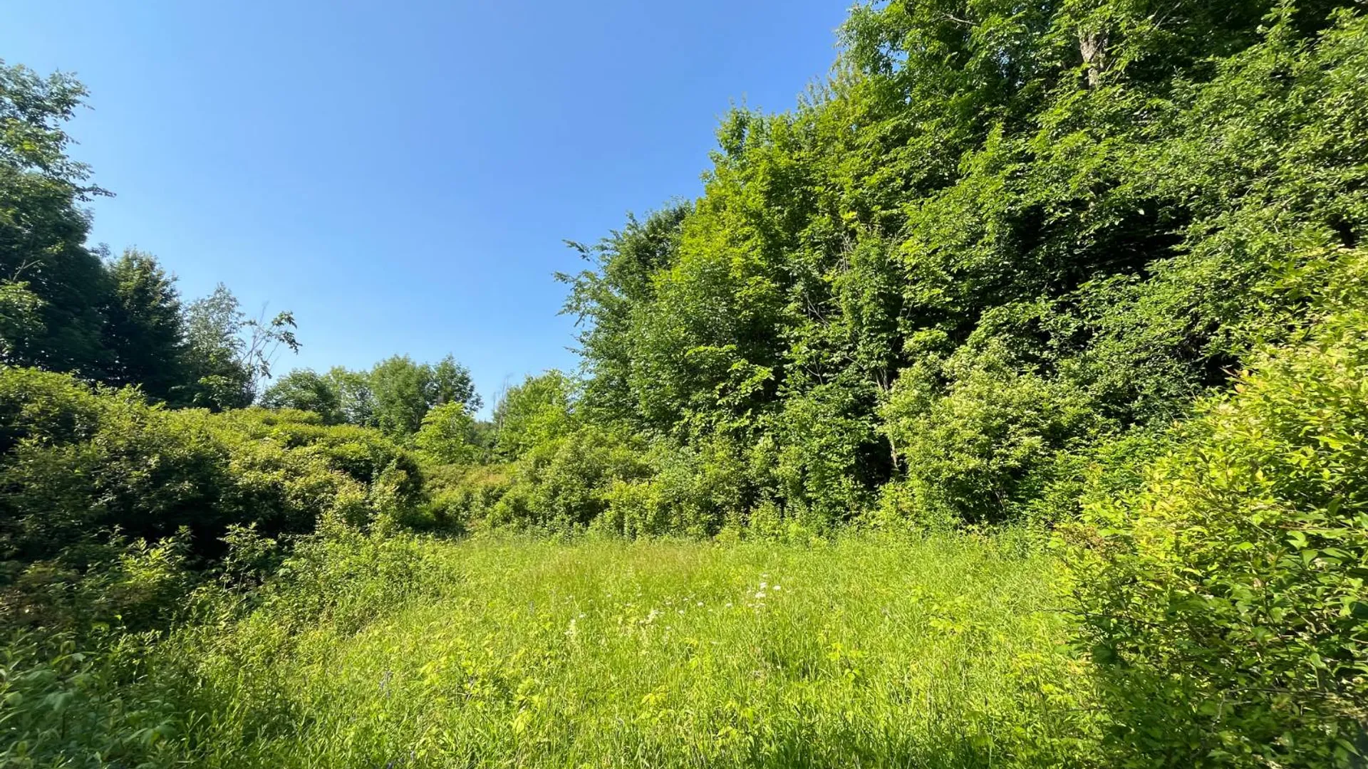 Property at 00 Austin Road #7, Antwerp, NY 13608 10