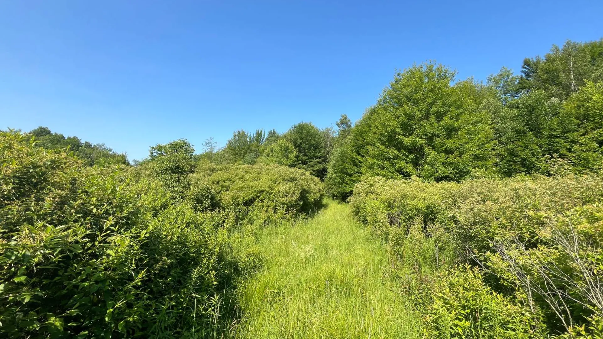 Property at 00 Austin Road #7, Antwerp, NY 13608 11