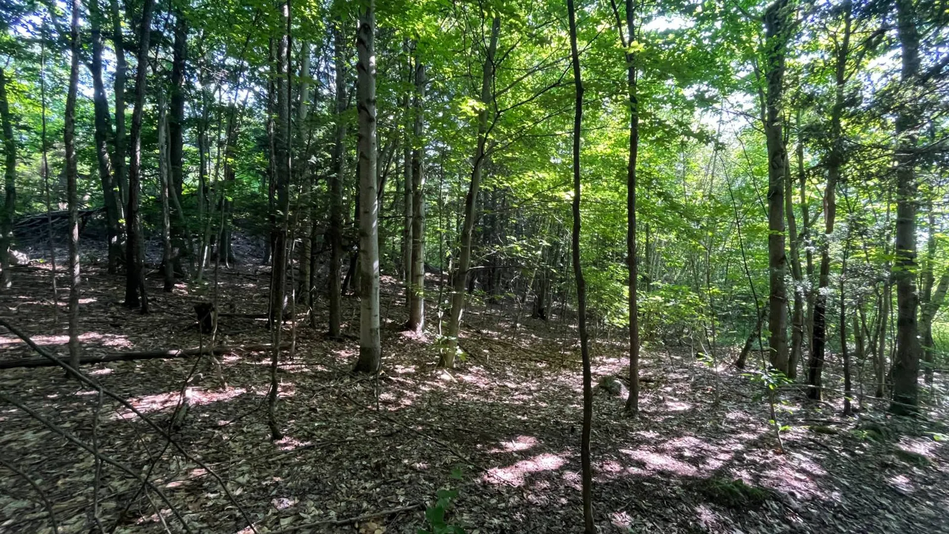 Property at 00 Austin Road #7, Antwerp, NY 13608 13