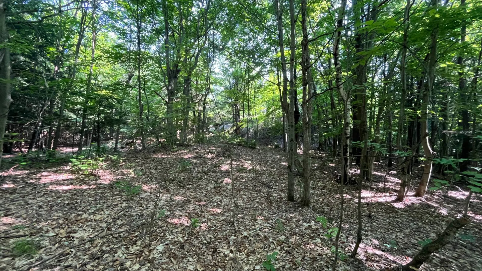 Property at 00 Austin Road #7, Antwerp, NY 13608 14
