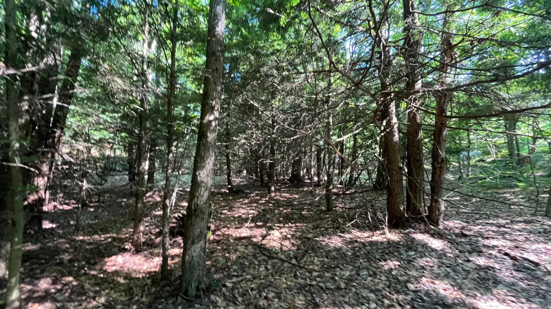 Property at 00 Austin Road #7, Antwerp, NY 13608 15