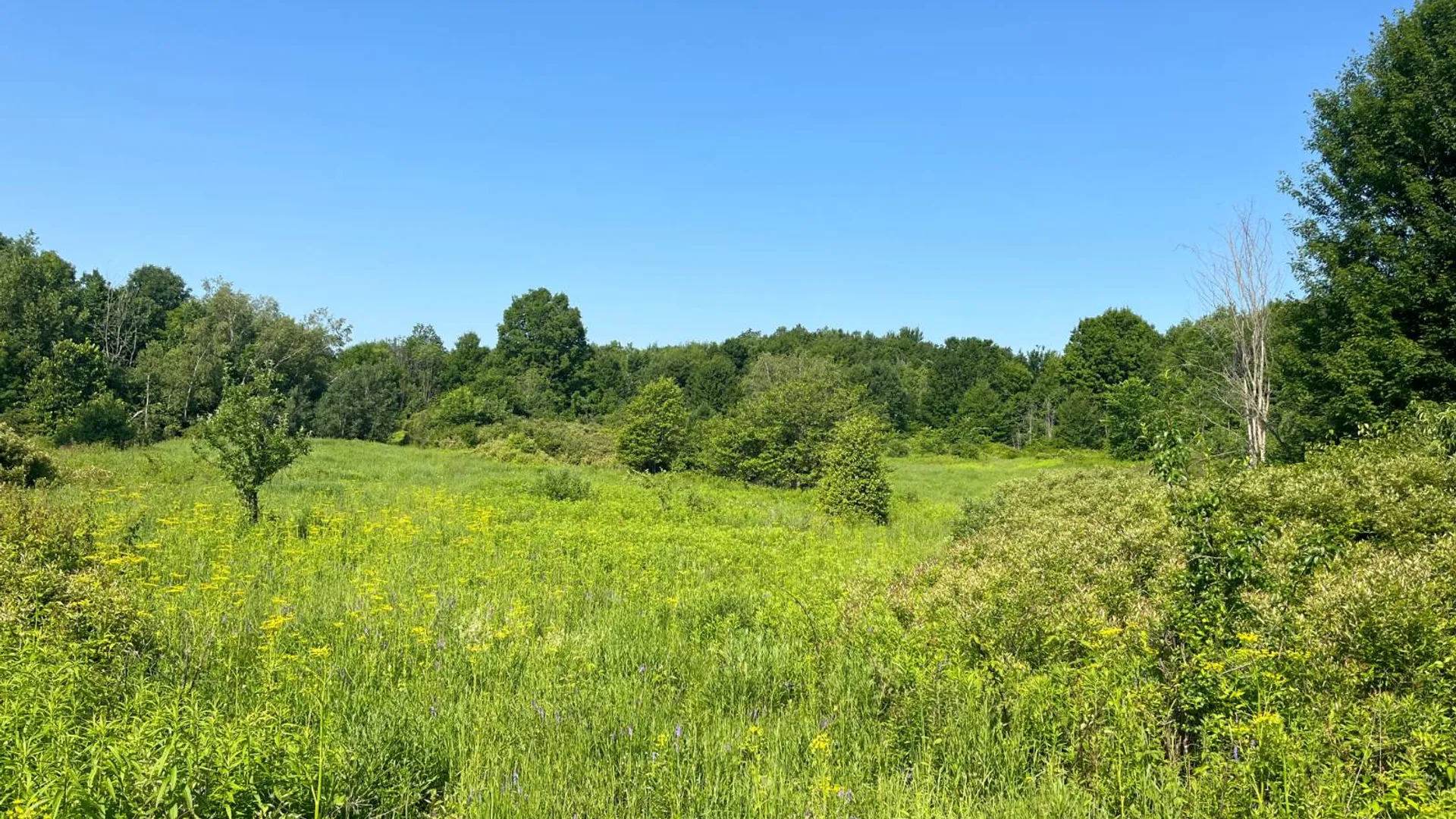 Property at 00 Austin Road #7, Antwerp, NY 13608 18