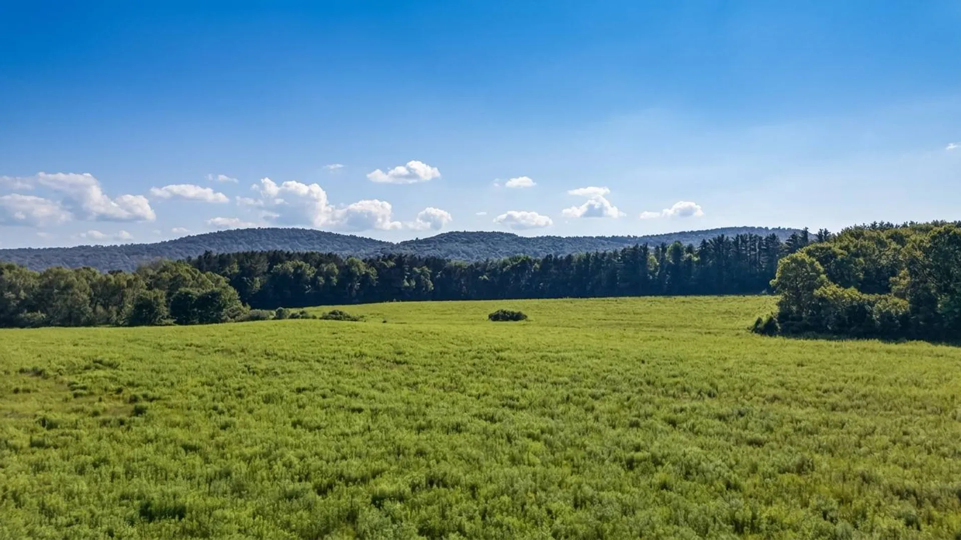 Property at L14.01 Hinman Rd, Cooperstown, NY 13326 14