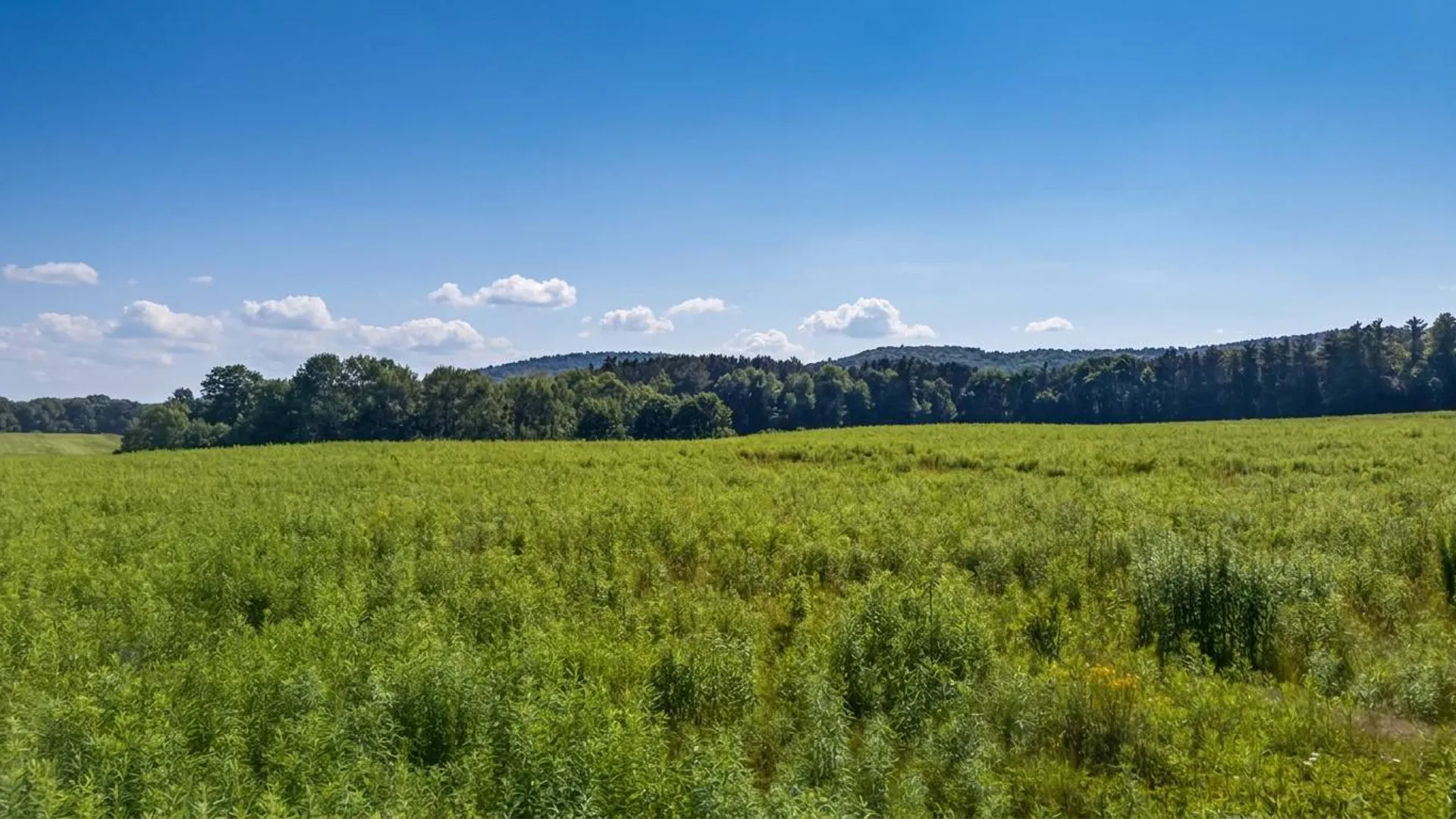 Property at L14.01 Hinman Rd, Cooperstown, NY 13326 16