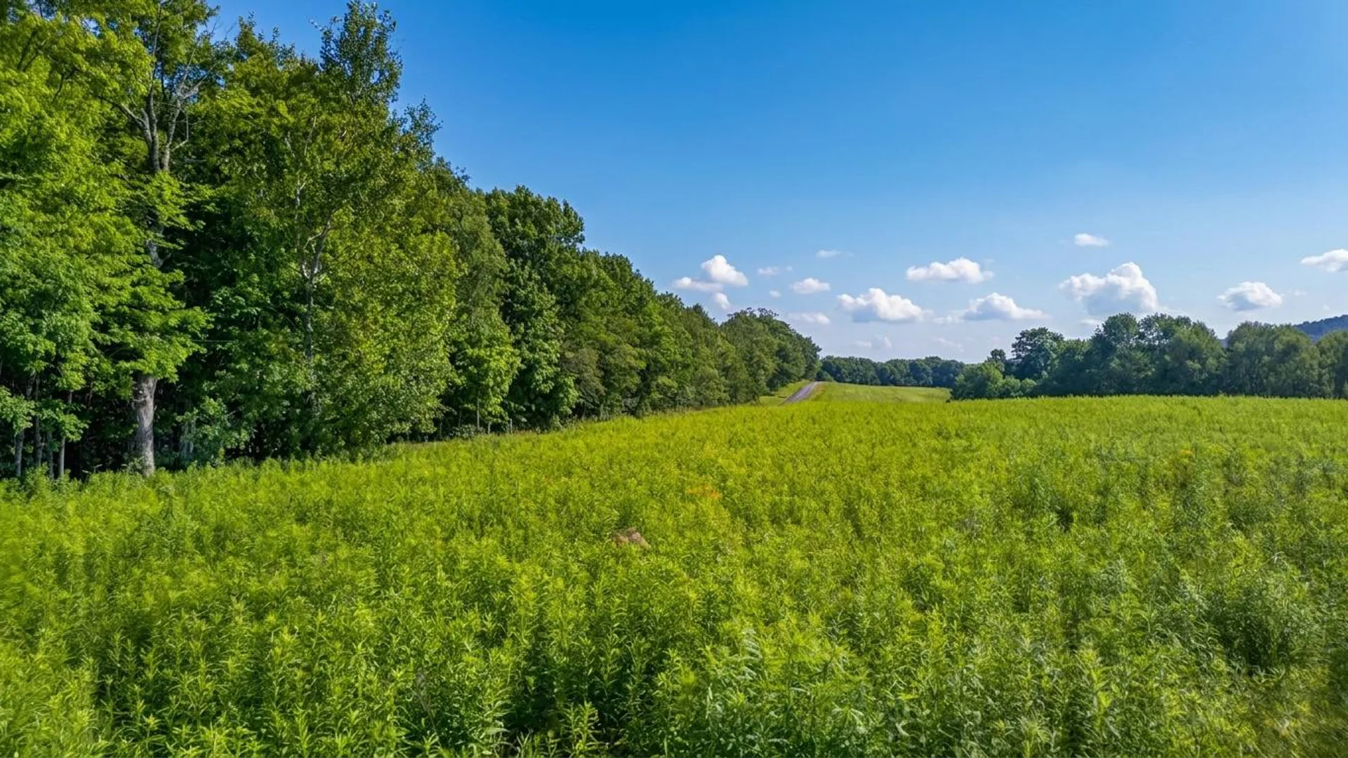 Property at L14.01 Hinman Rd, Cooperstown, NY 13326 19