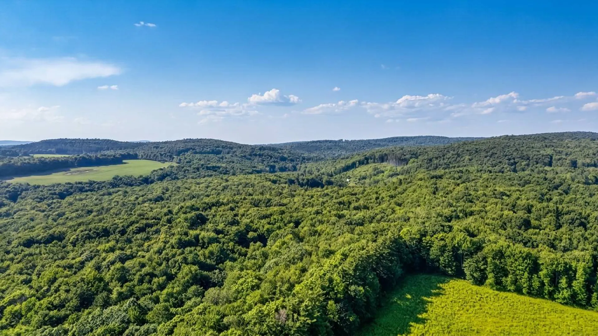 Property at L14.01 Hinman Rd, Cooperstown, NY 13326 20