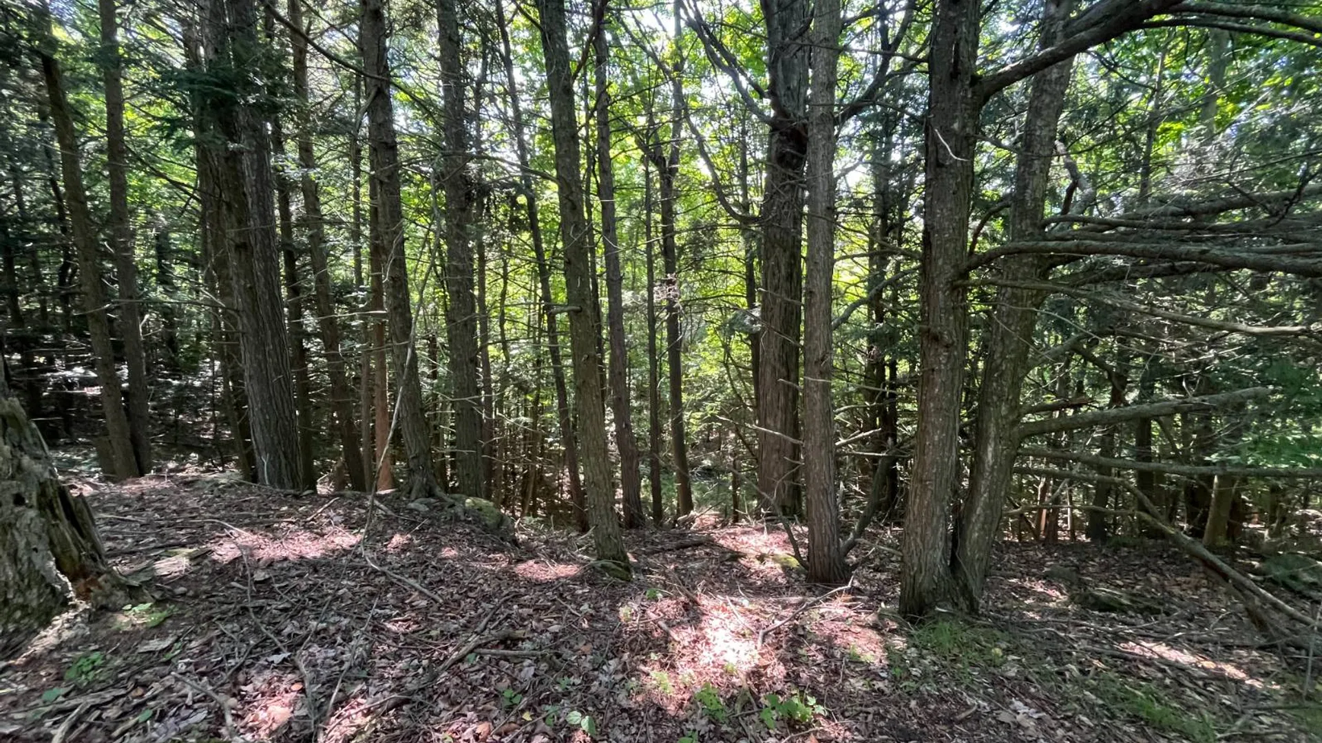Property at 00 Austin Road #10, Antwerp, NY 13608 9