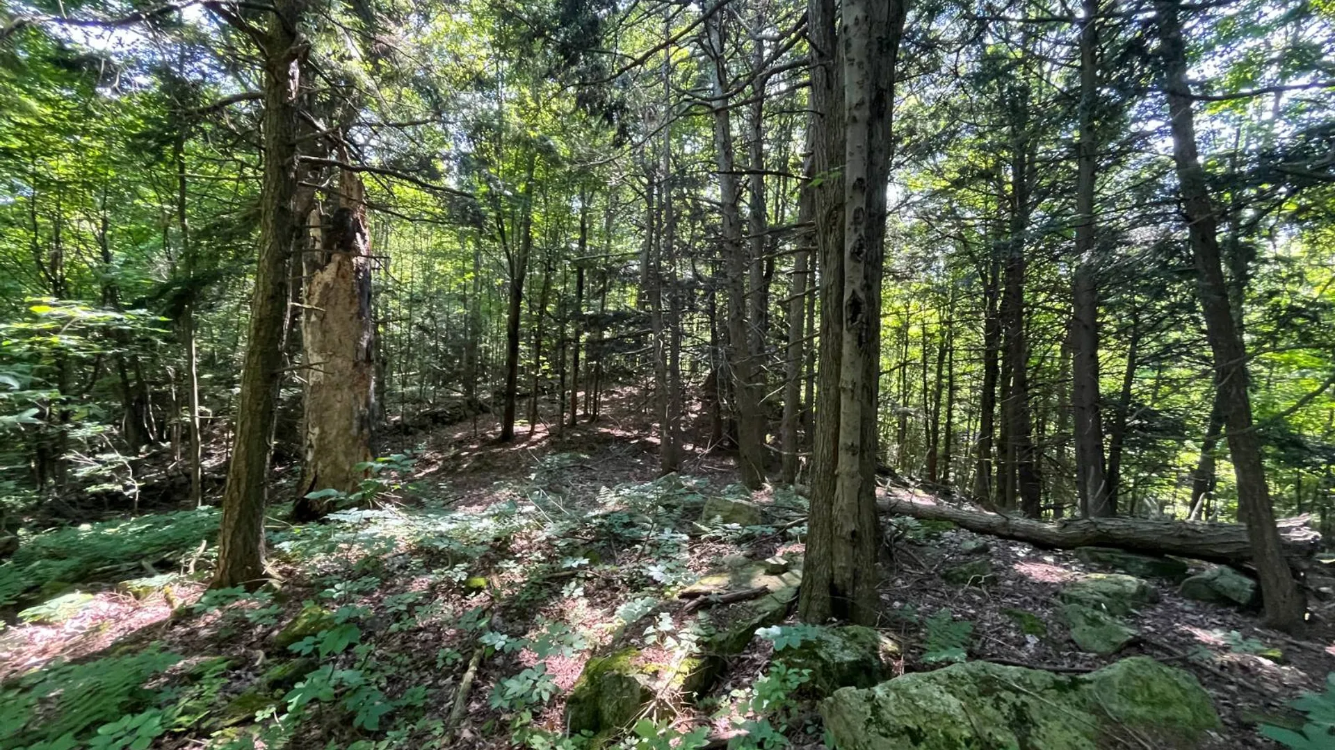 Property at 00 Austin Road #10, Antwerp, NY 13608 10