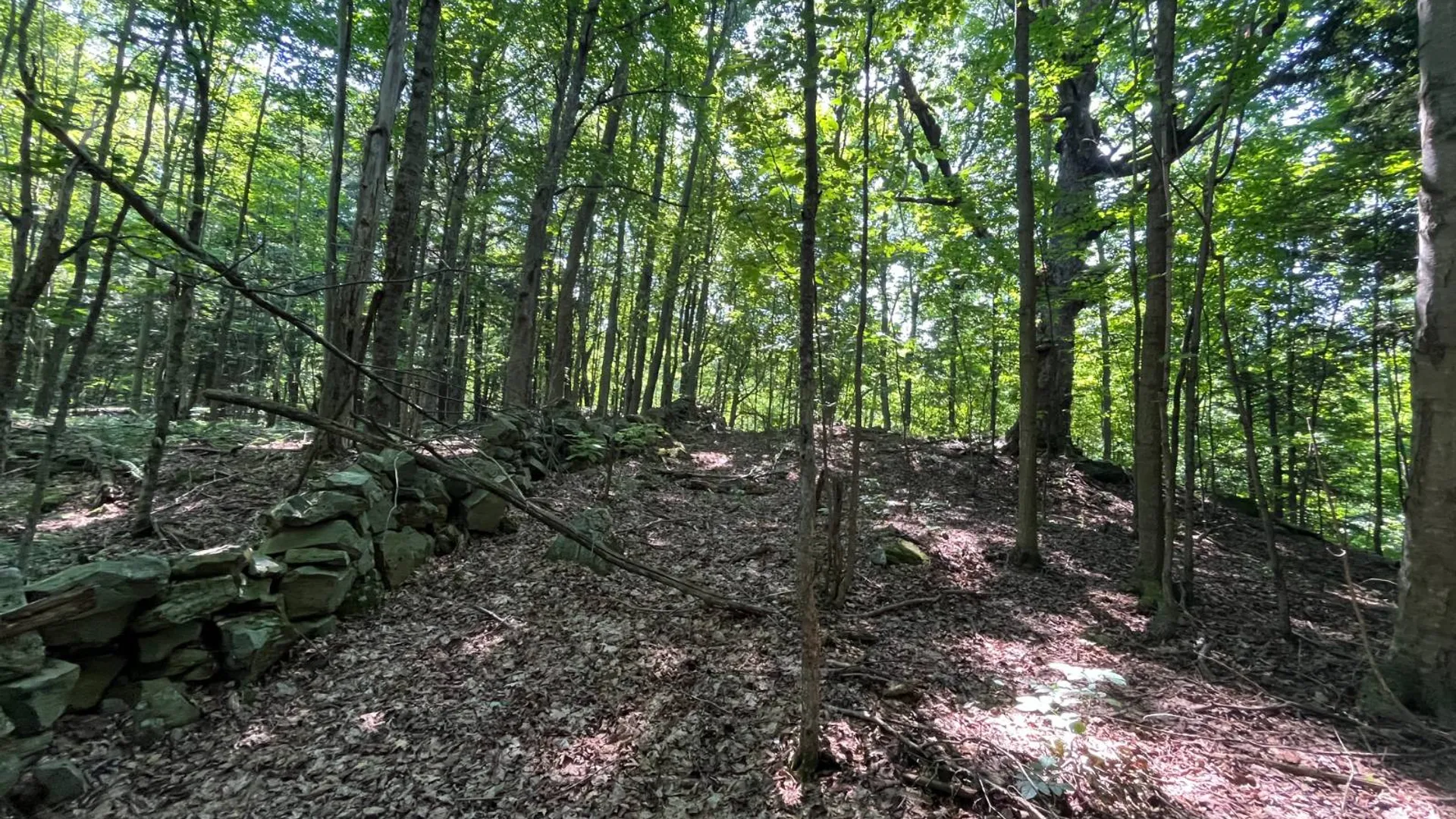 Property at 00 Austin Road #10, Antwerp, NY 13608 3