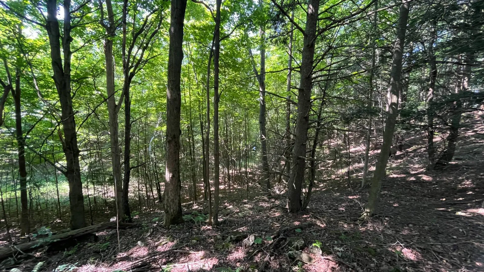 Property at 00 Austin Road #10, Antwerp, NY 13608 11