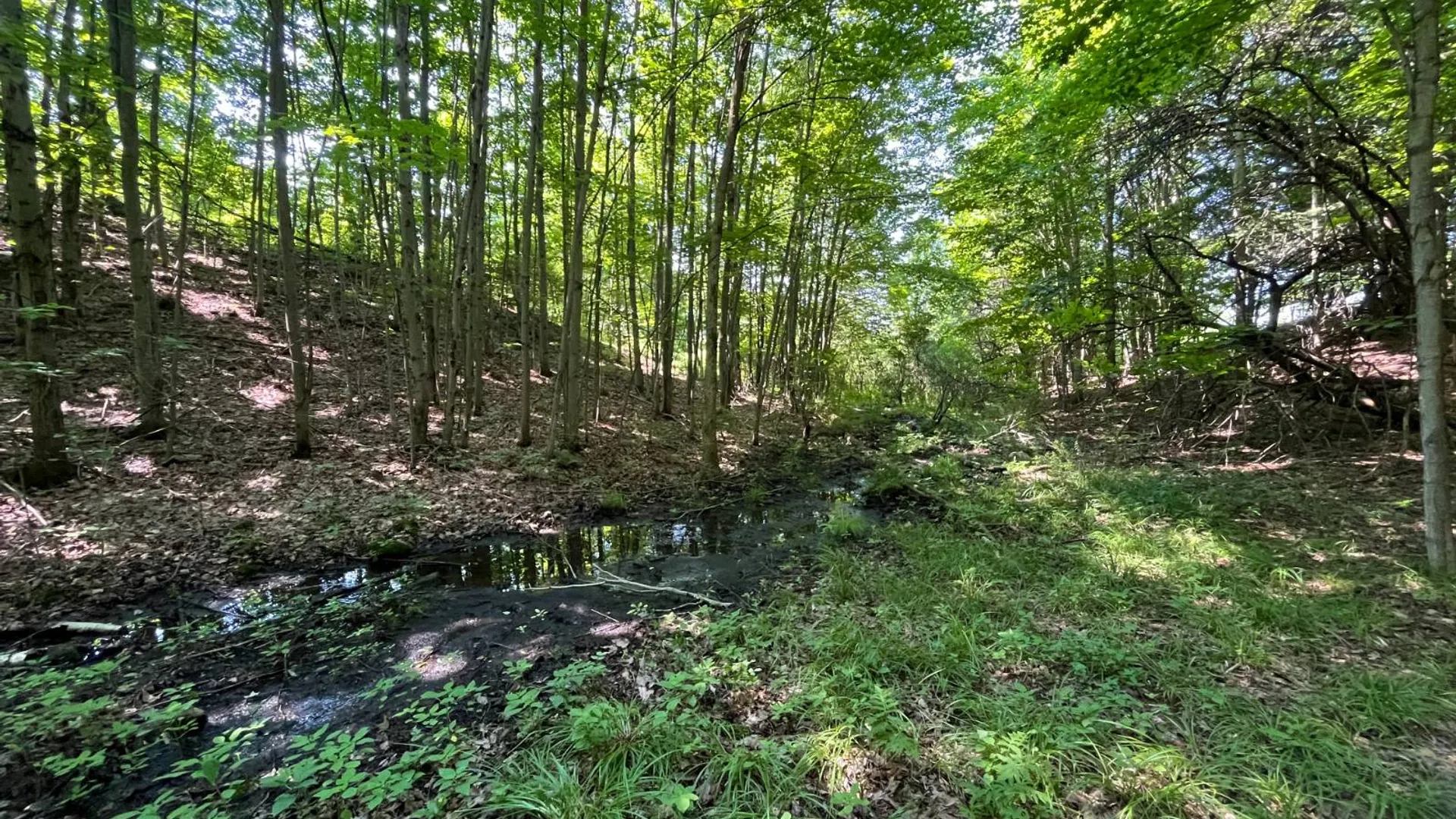Property at 00 Austin Road #10, Antwerp, NY 13608 12