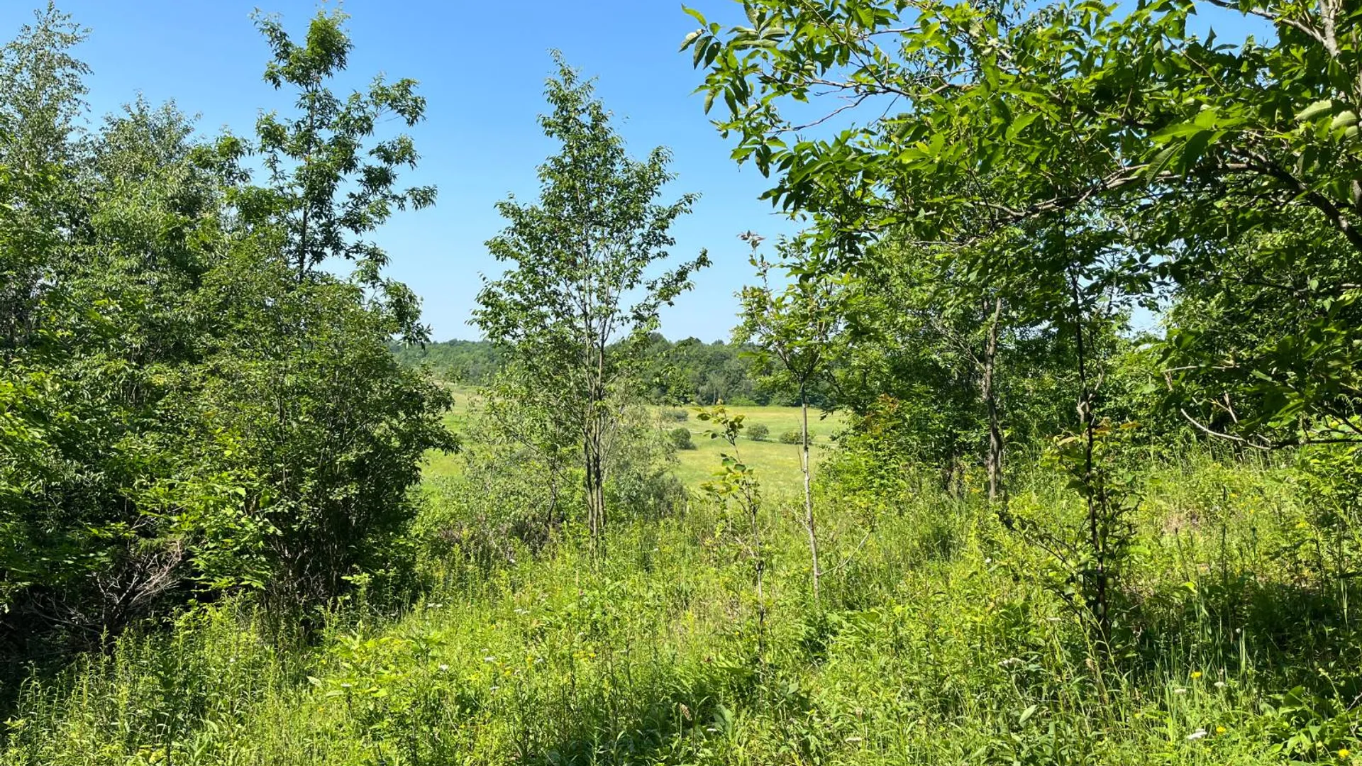 Property at 00 Austin Road #10, Antwerp, NY 13608 6