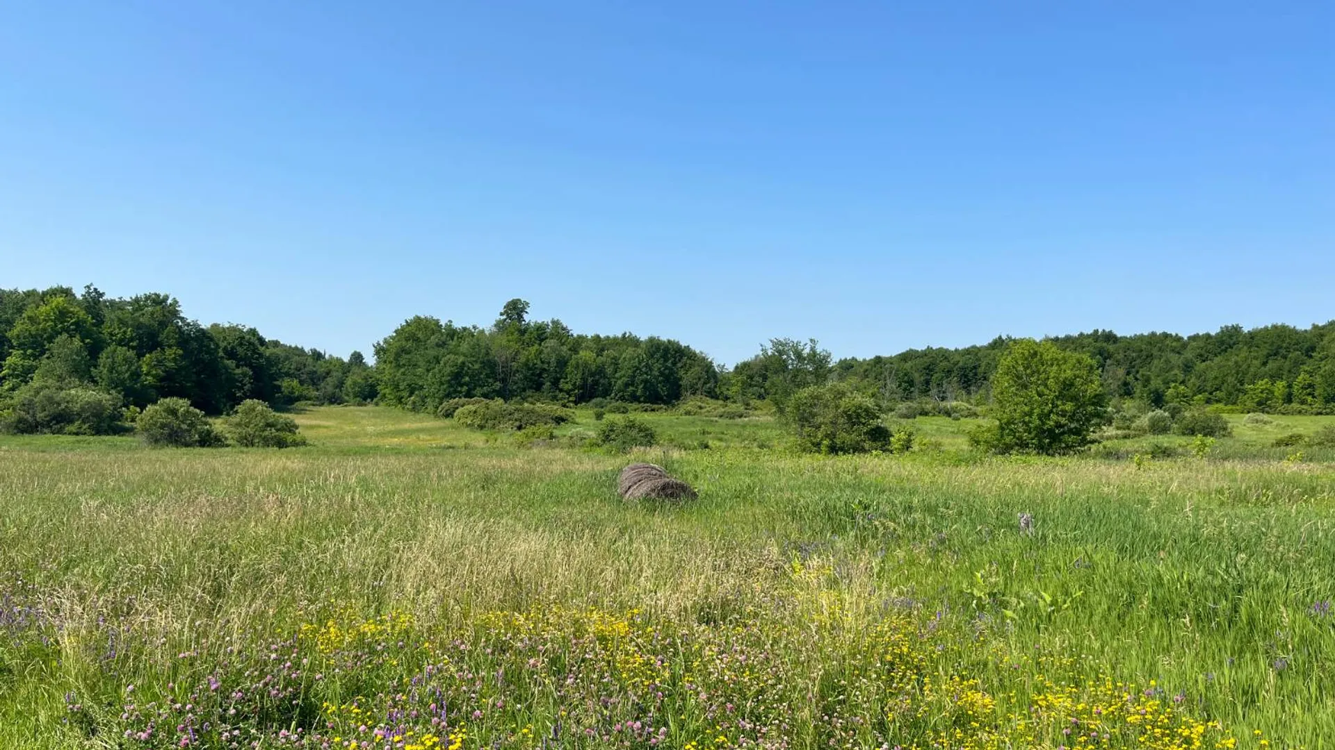 Property at 00 Austin Road #10, Antwerp, NY 13608 5