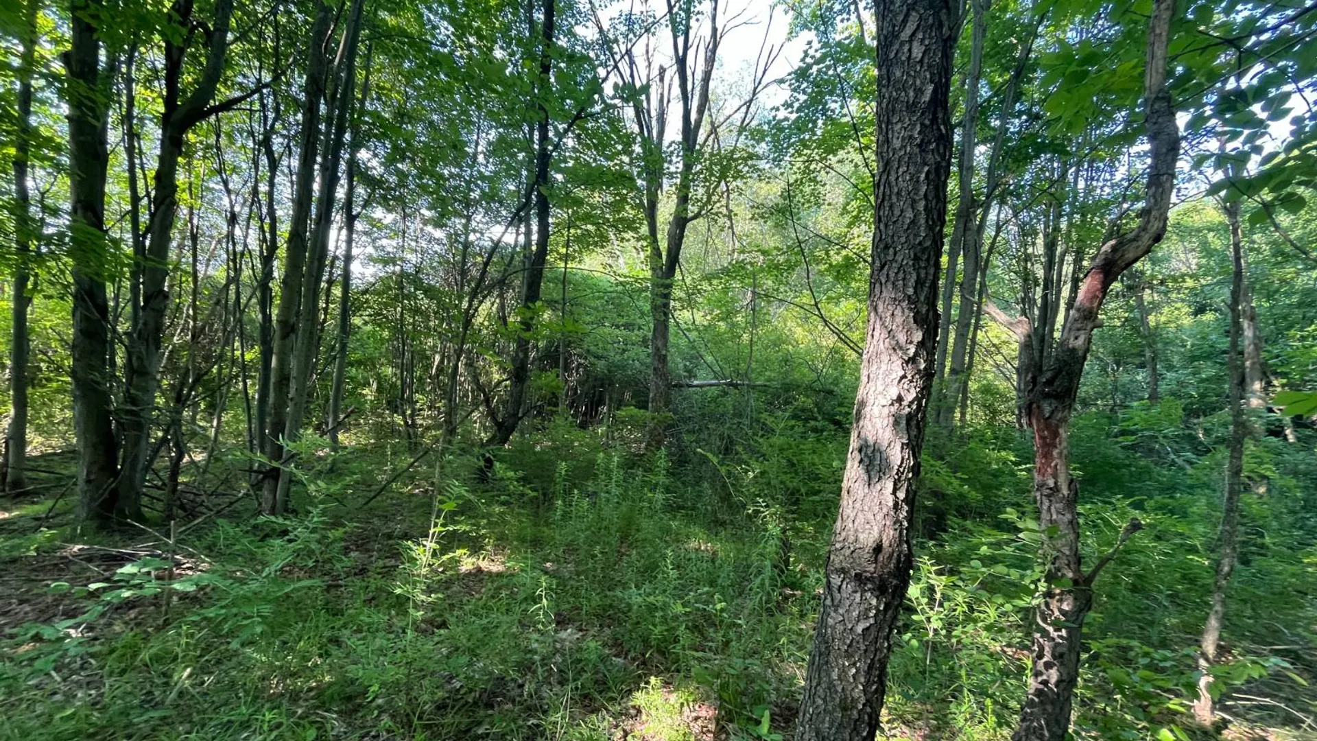 Property at 00 Austin Road #4, Antwerp, NY 13608 5
