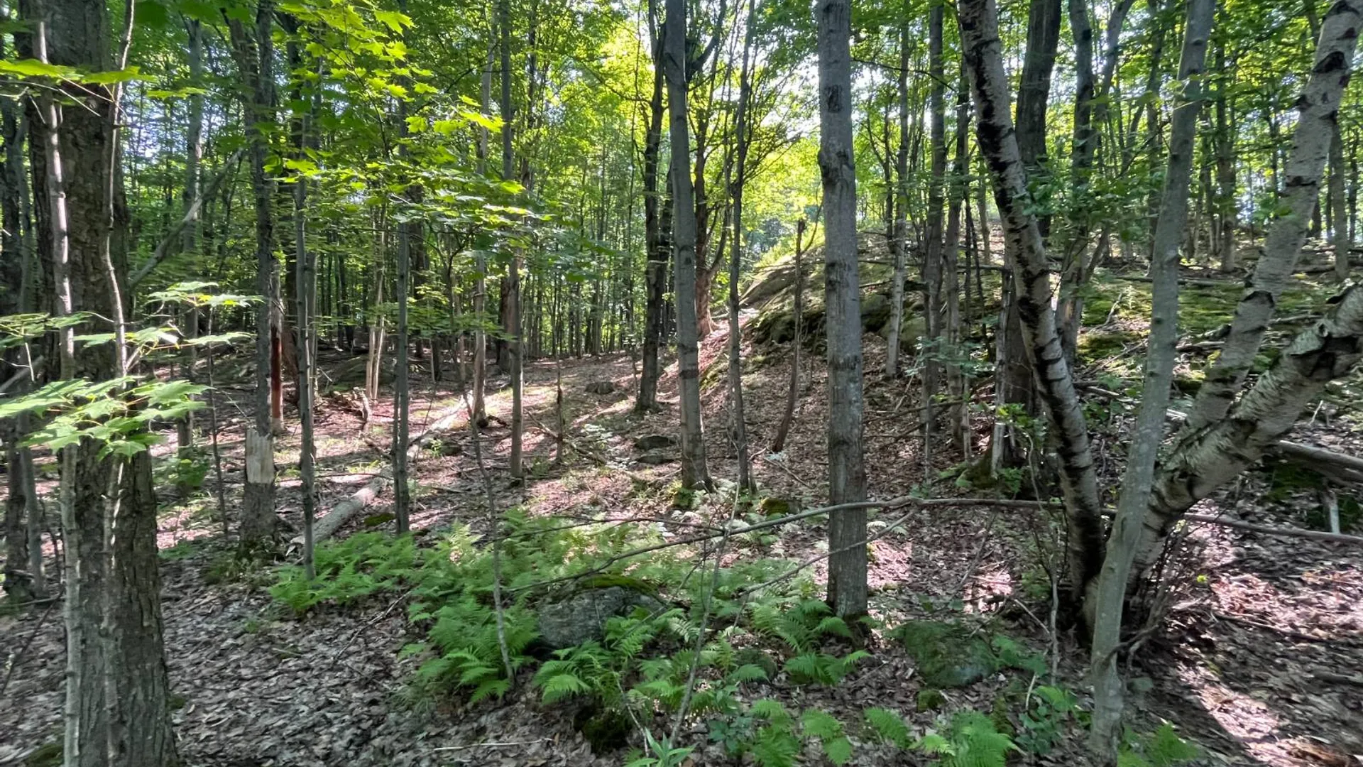 Property at 00 Austin Road #4, Antwerp, NY 13608 9