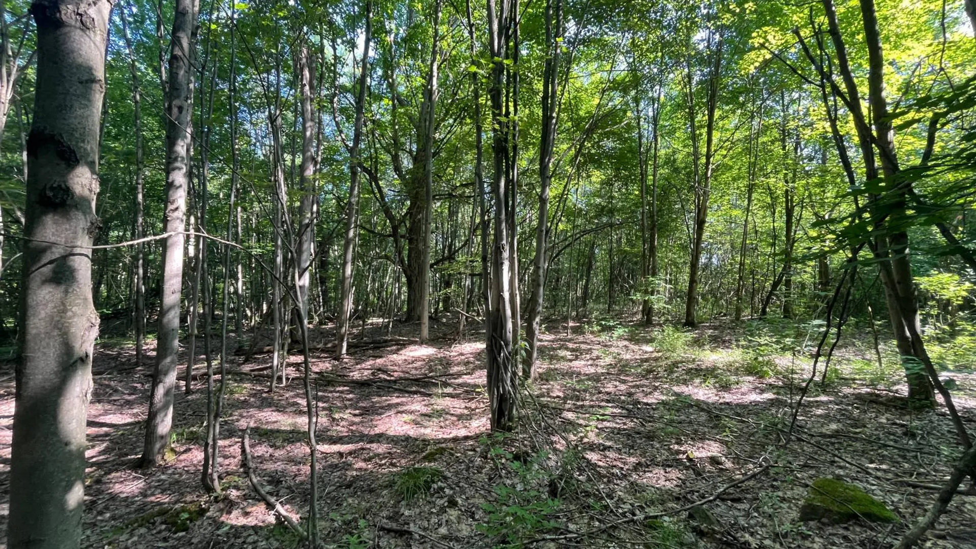 Property at 00 Austin Road #4, Antwerp, NY 13608 11
