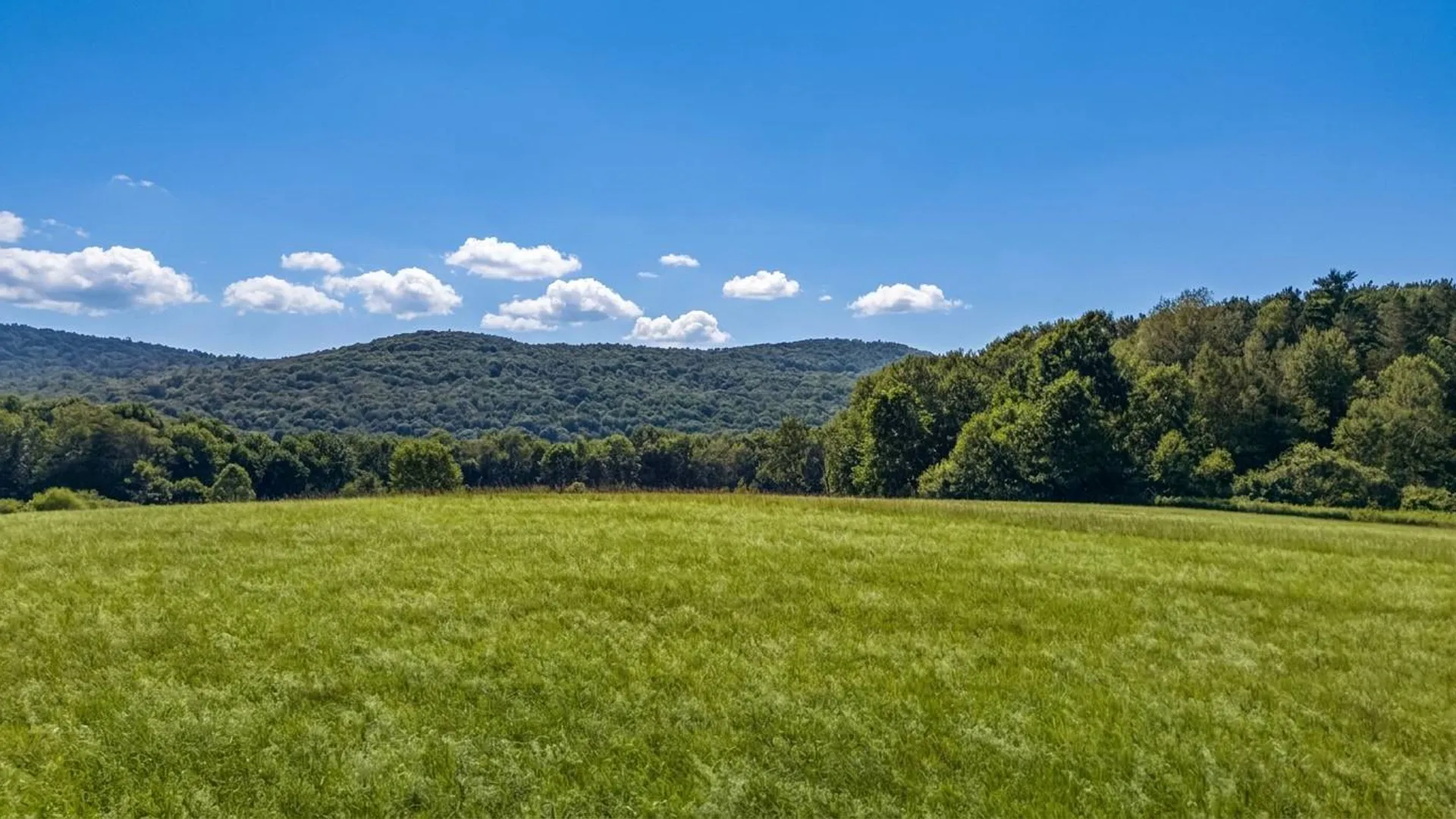 Property at L14.02 Hinman Rd, Cooperstown, NY 13326 7